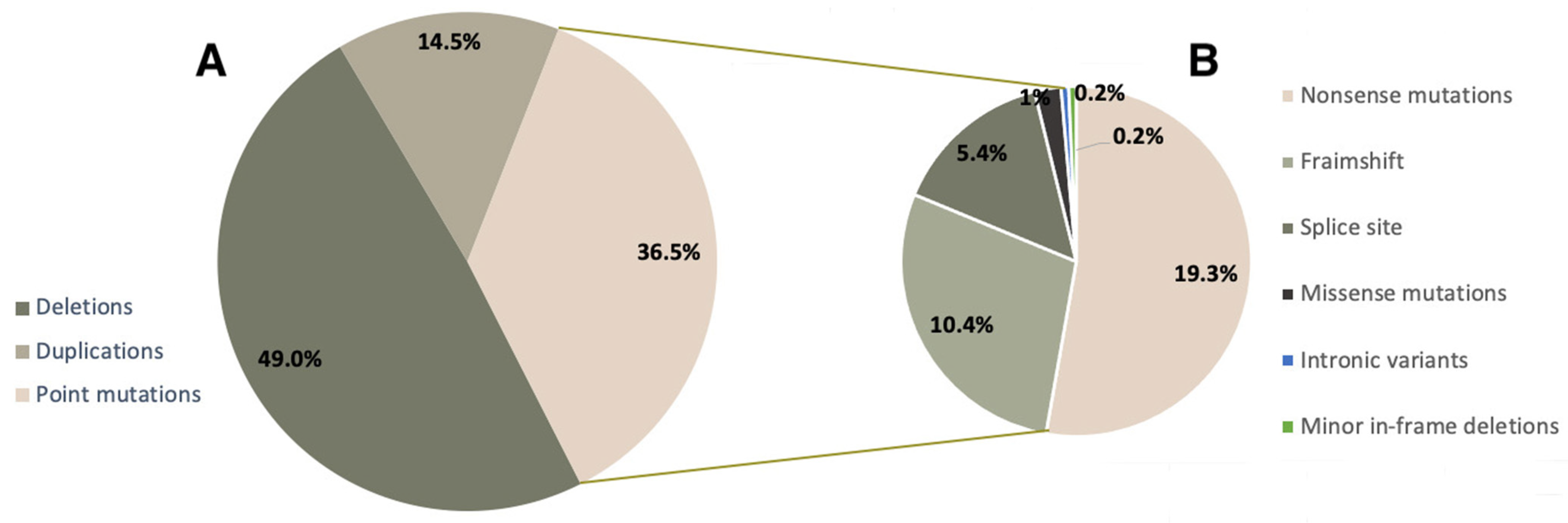 Ijms 23 12710 g001 Ijms 23 12710 g001