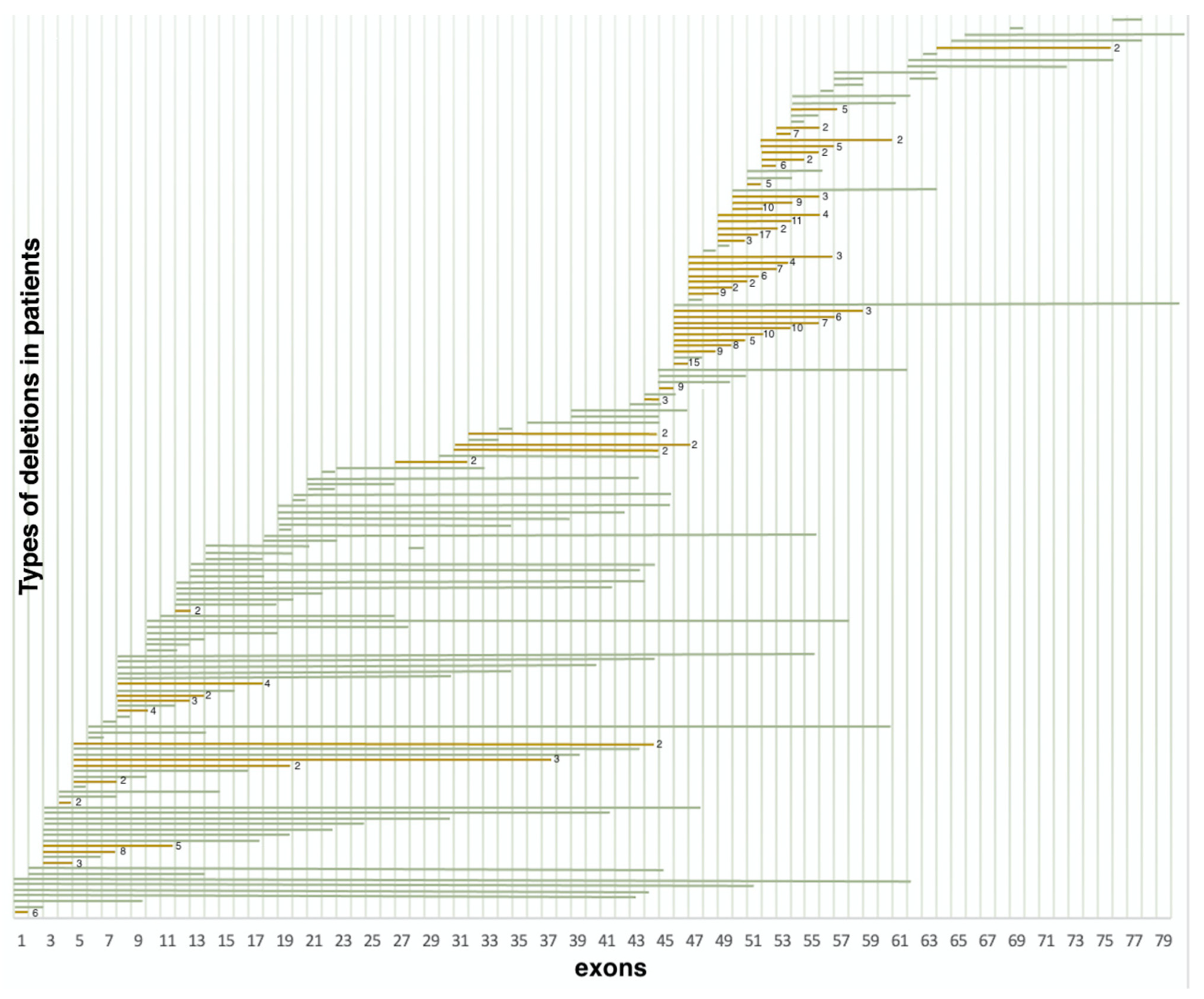Ijms 23 12710 g002 Ijms 23 12710 g002
