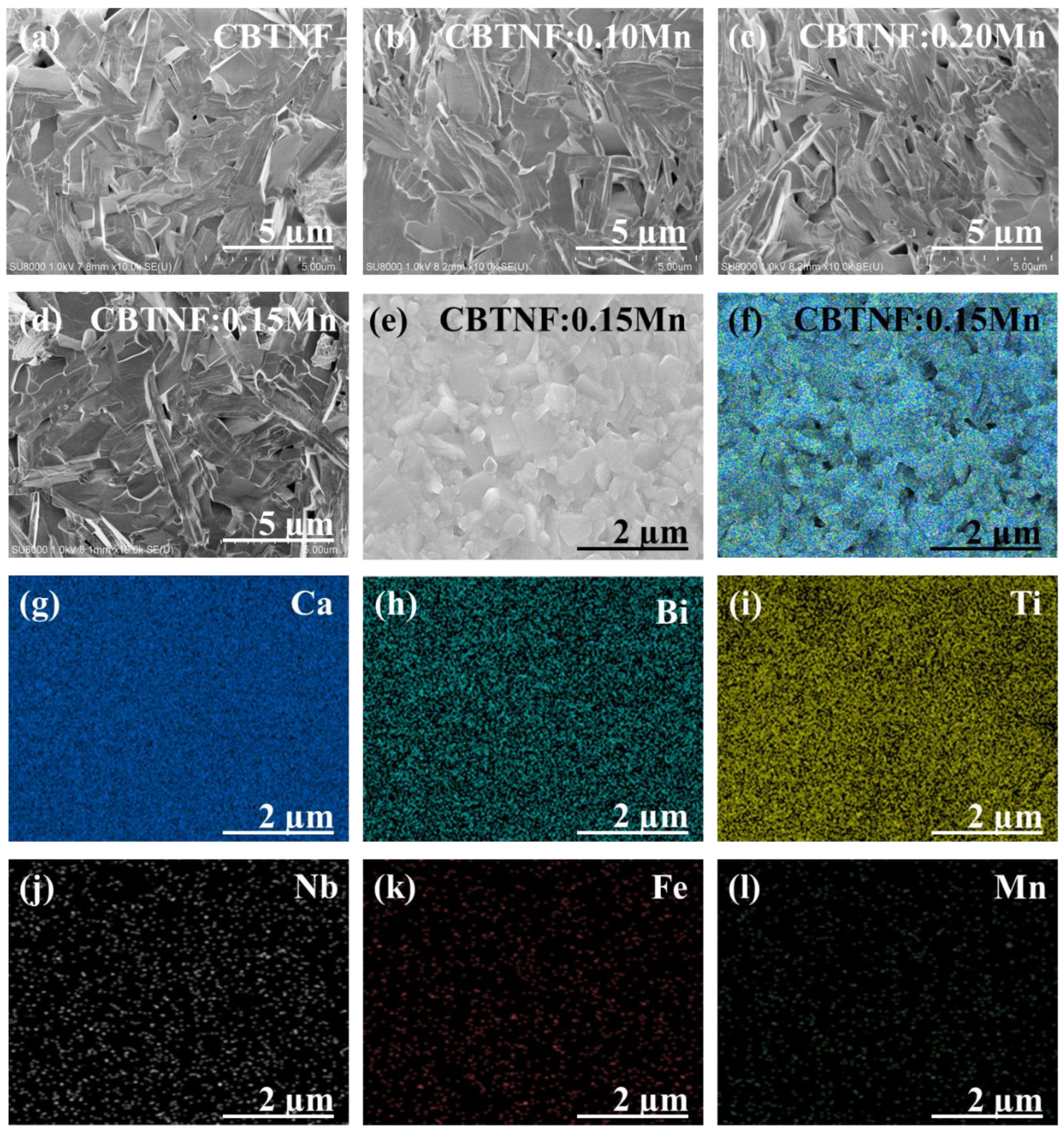 Ijms 23 12723 g003 Ijms 23 12723 g003