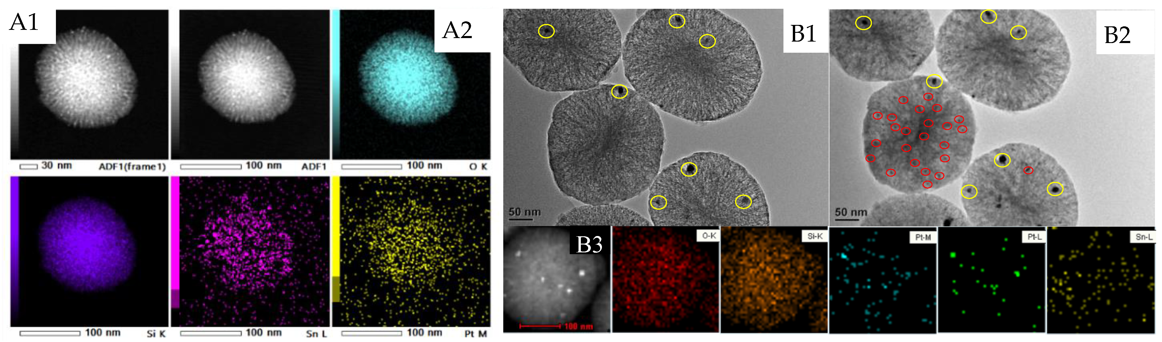 Ijms 23 12724 g005 Ijms 23 12724 g005