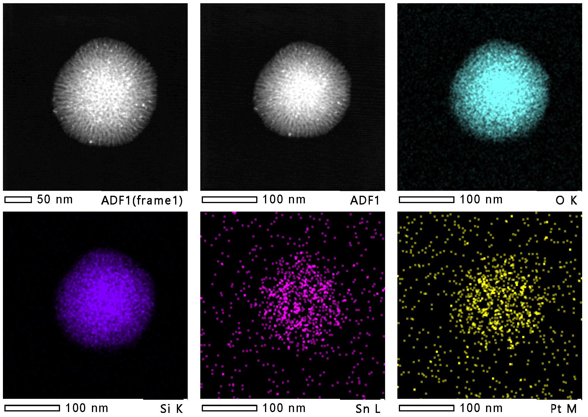 Ijms 23 12724 g007 Ijms 23 12724 g007