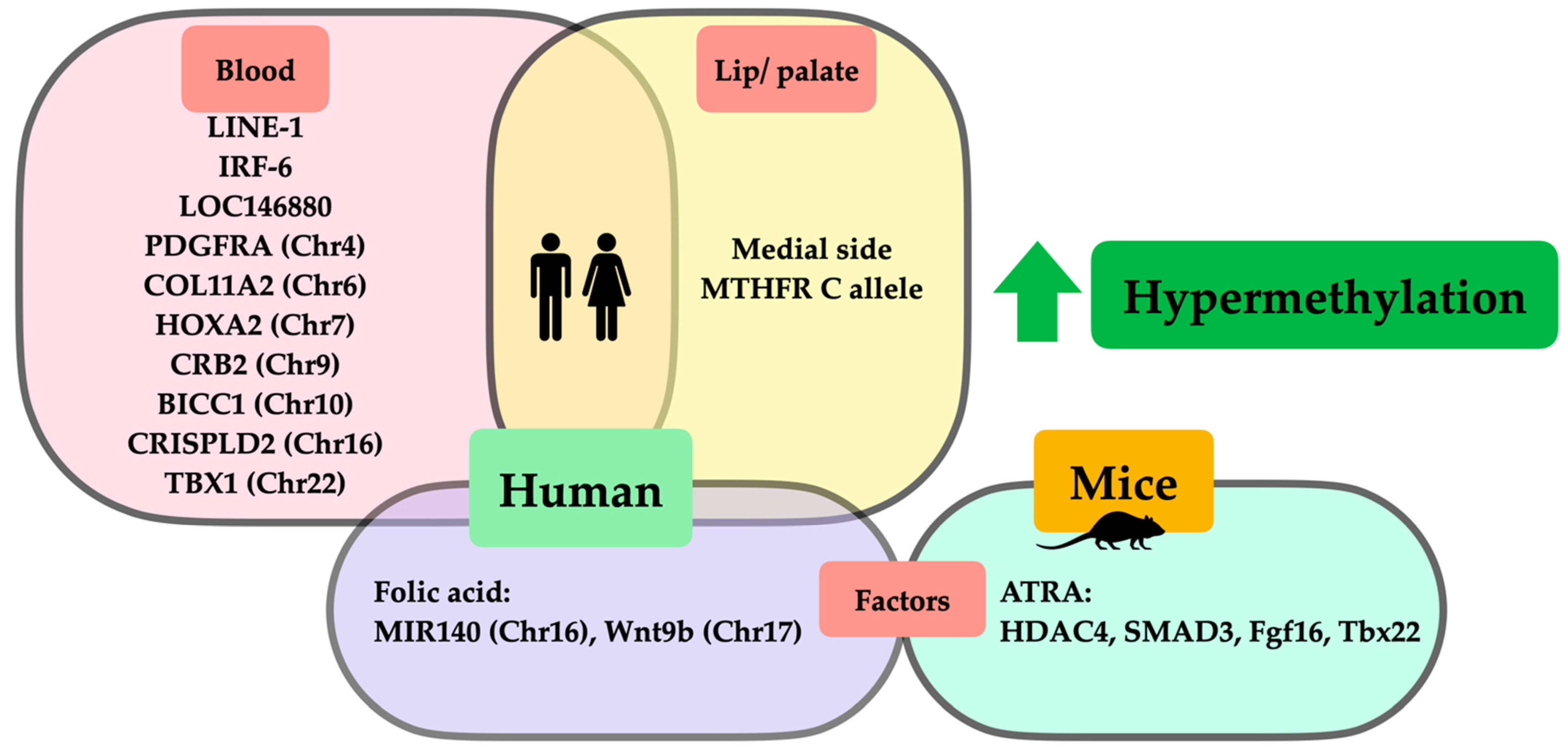 Ijms 23 12727 g002 Ijms 23 12727 g002