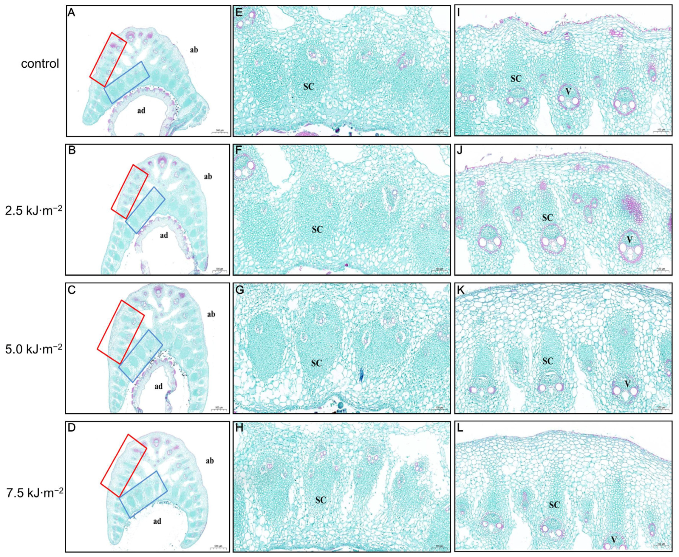 Ijms 23 12776 g002 Ijms 23 12776 g002