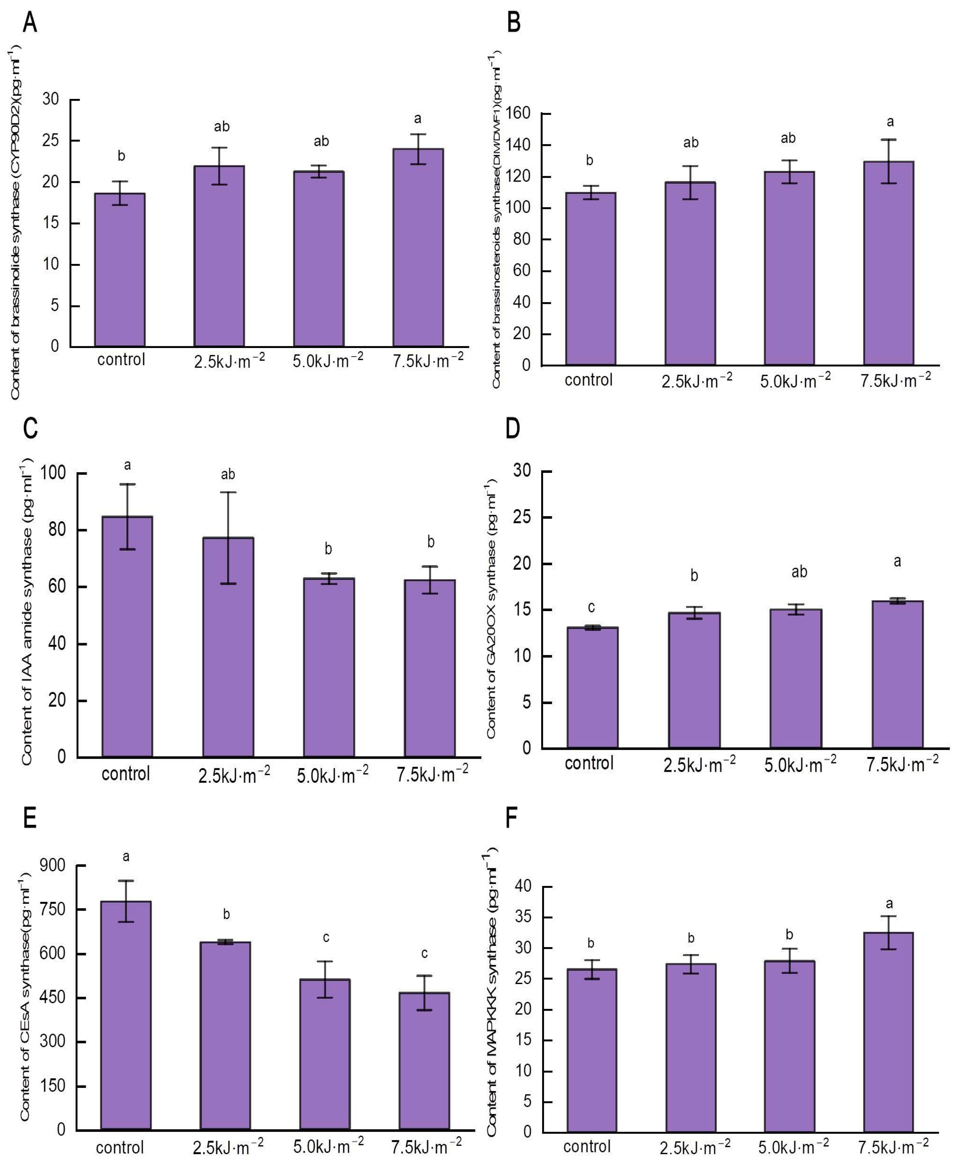 Ijms 23 12776 g008 Ijms 23 12776 g008