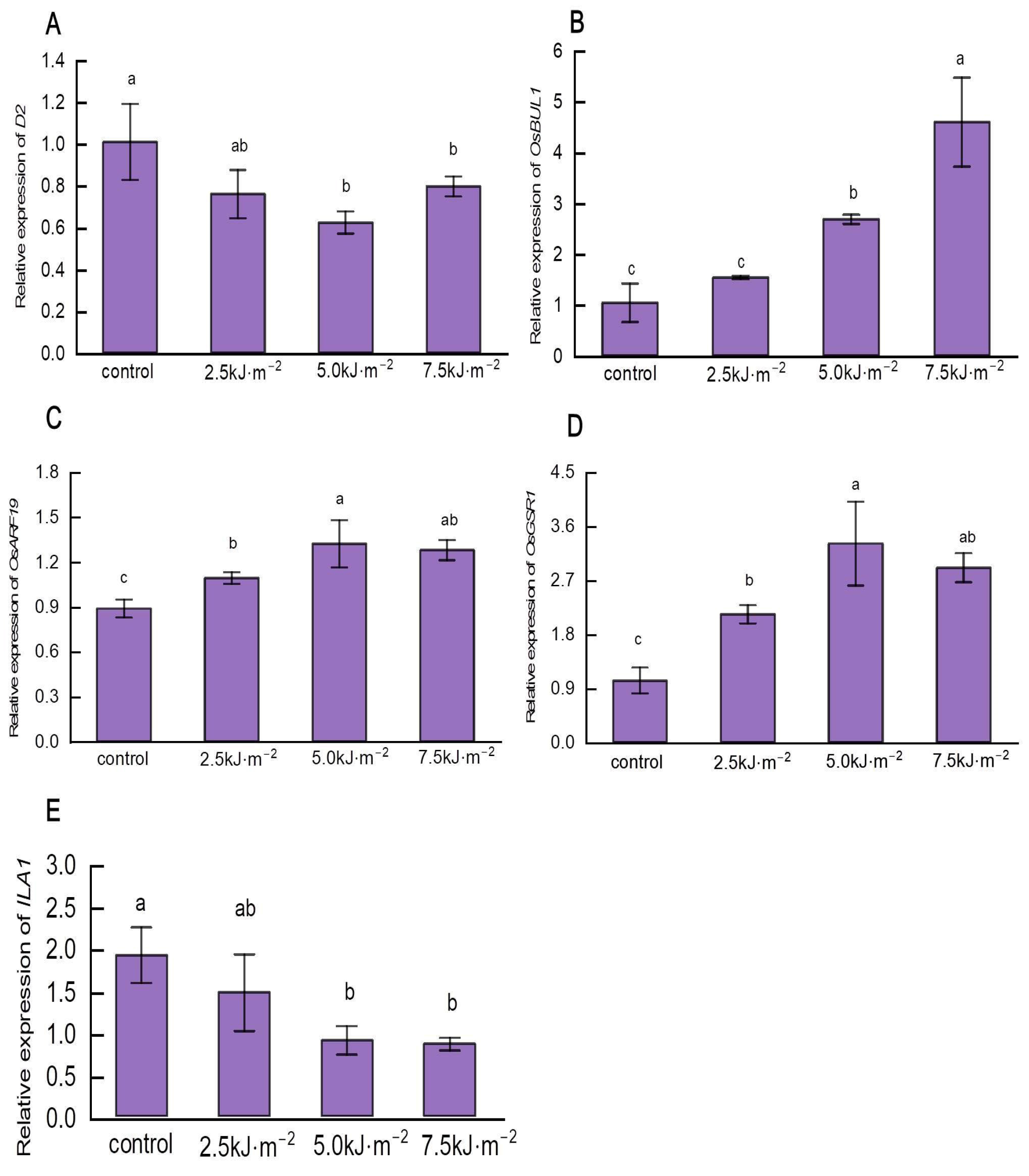 Ijms 23 12776 g009 Ijms 23 12776 g009