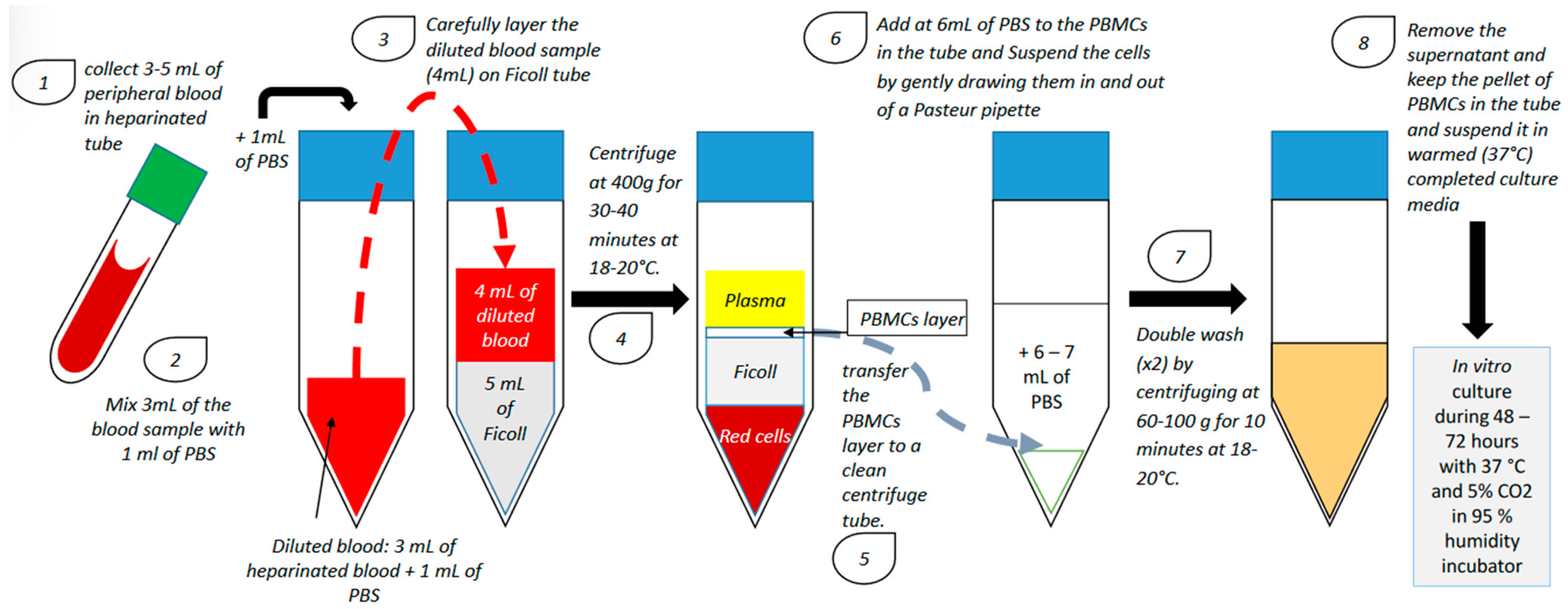 Ijms 23 12787 g001 Ijms 23 12787 g001