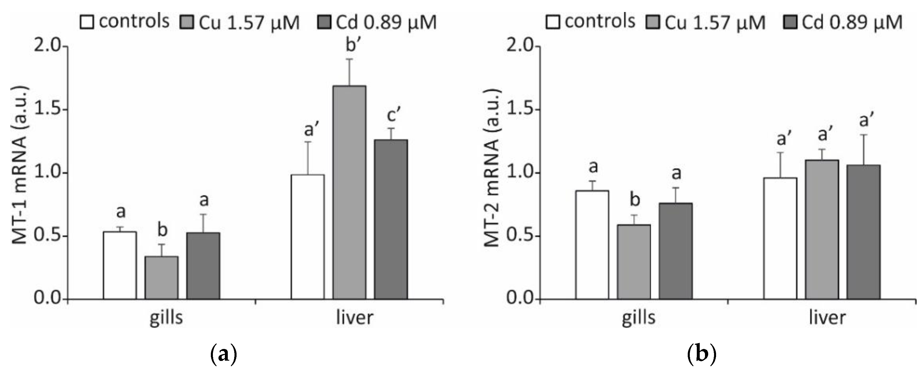 Ijms 23 12799 g002 Ijms 23 12799 g002