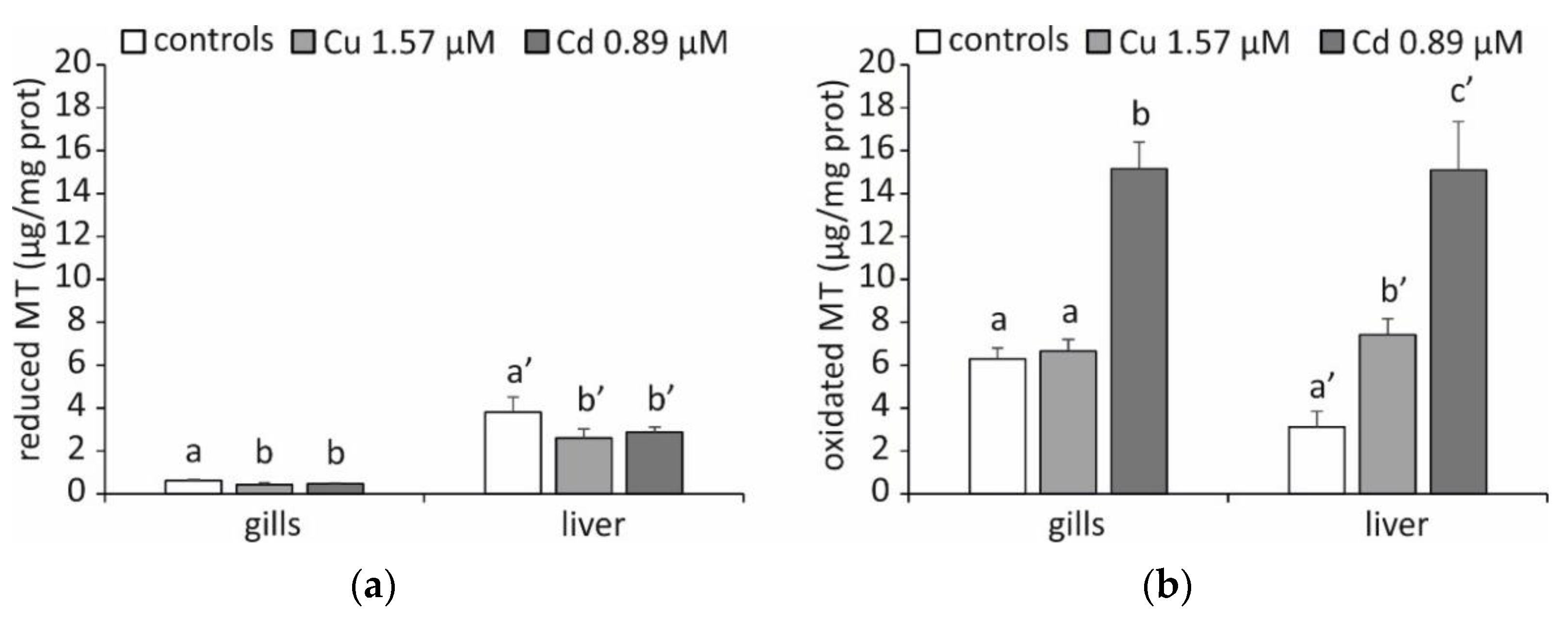 Ijms 23 12799 g003 Ijms 23 12799 g003