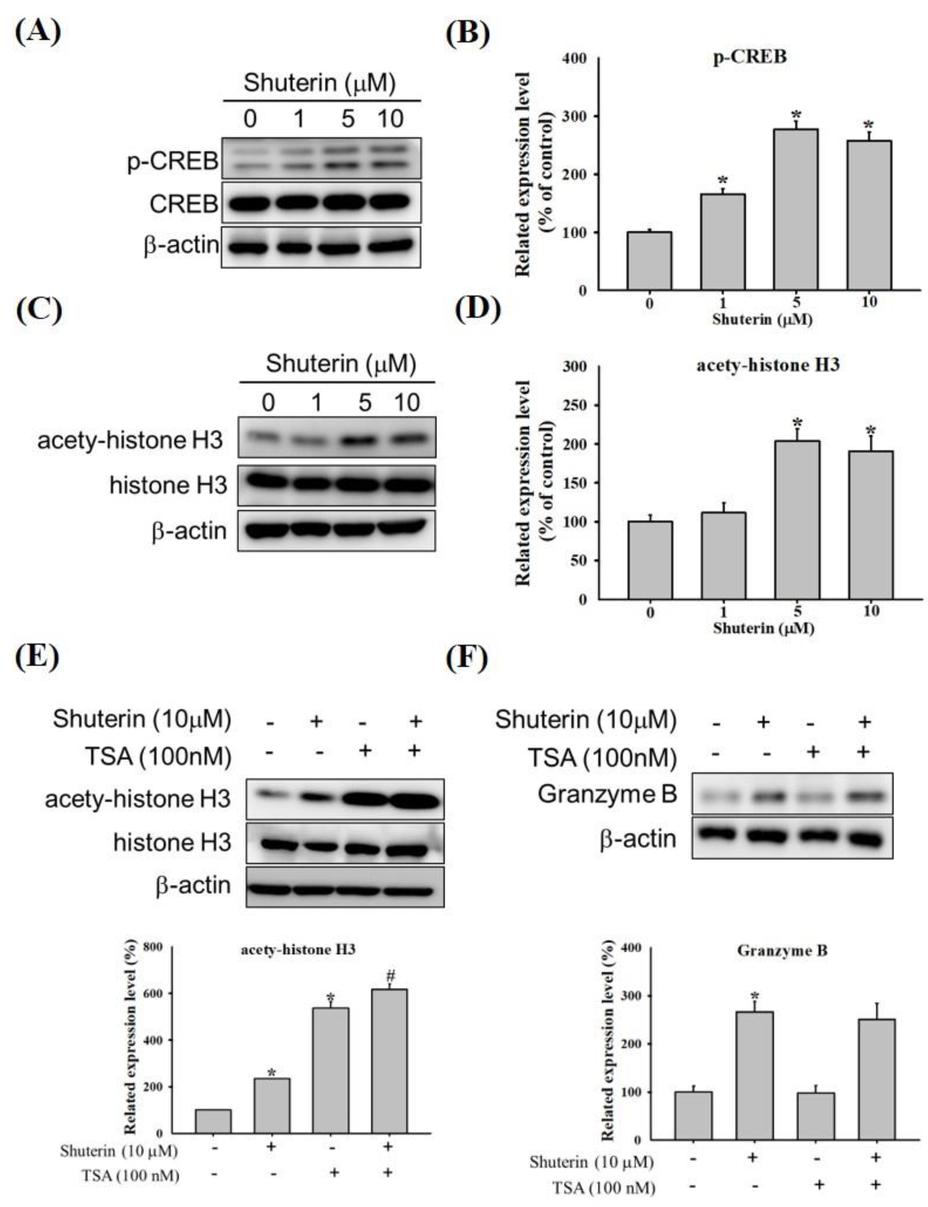 Ijms 23 12816 g002 Ijms 23 12816 g002