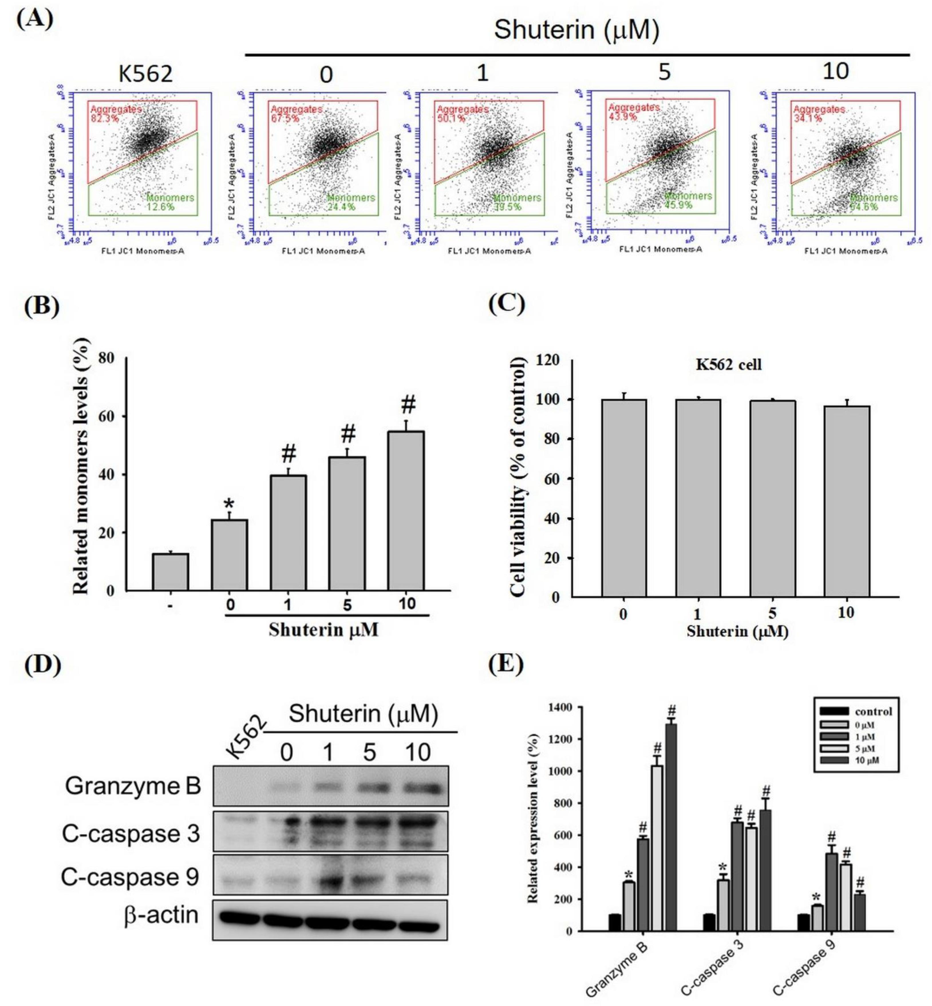Ijms 23 12816 g003 Ijms 23 12816 g003