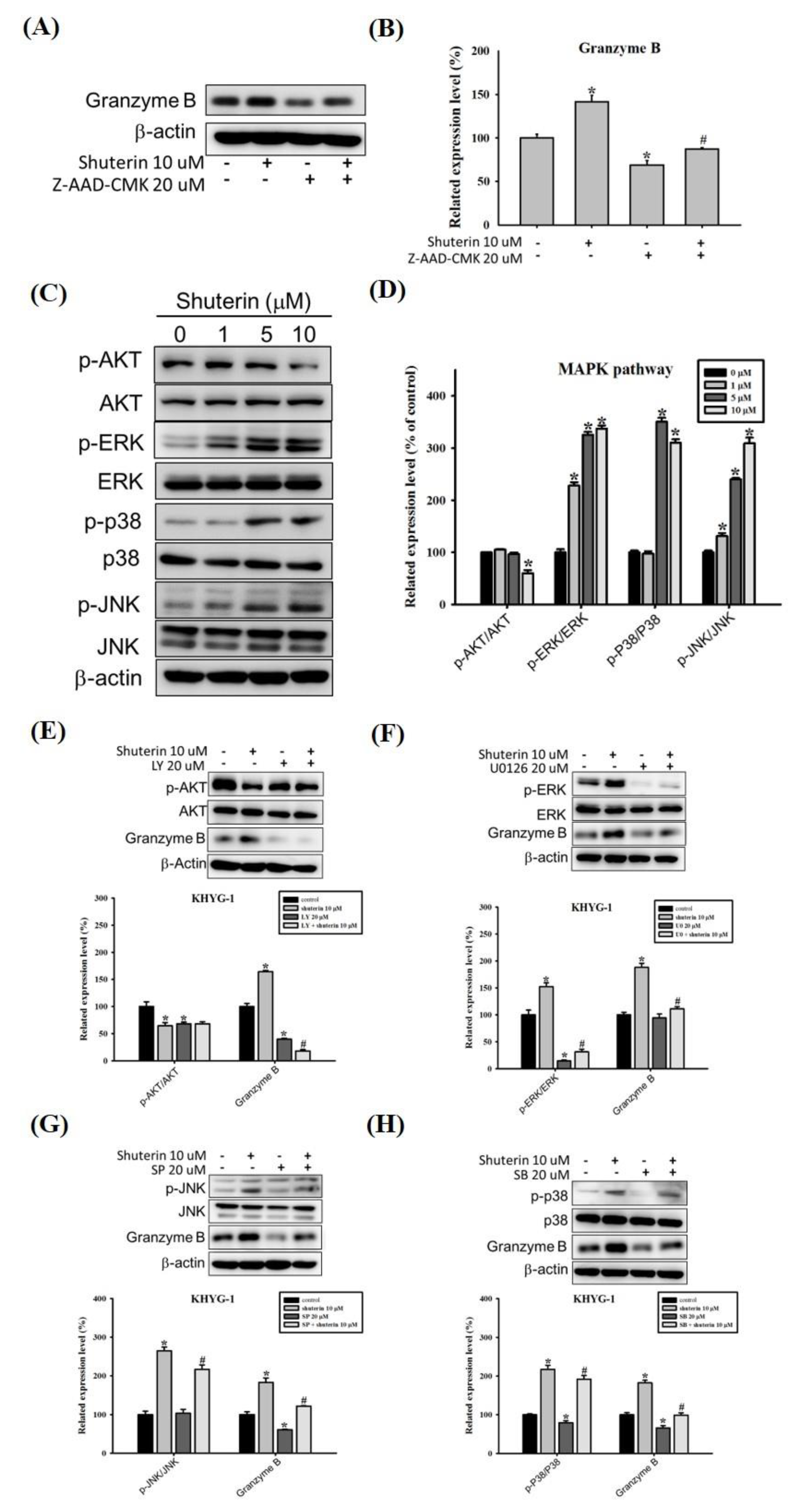 Ijms 23 12816 g004 Ijms 23 12816 g004