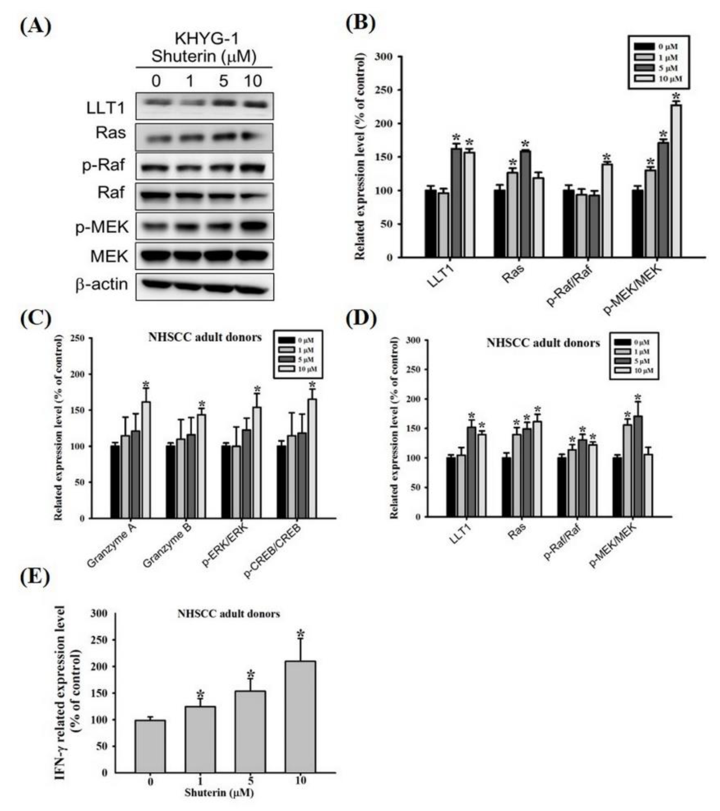 Ijms 23 12816 g005 Ijms 23 12816 g005