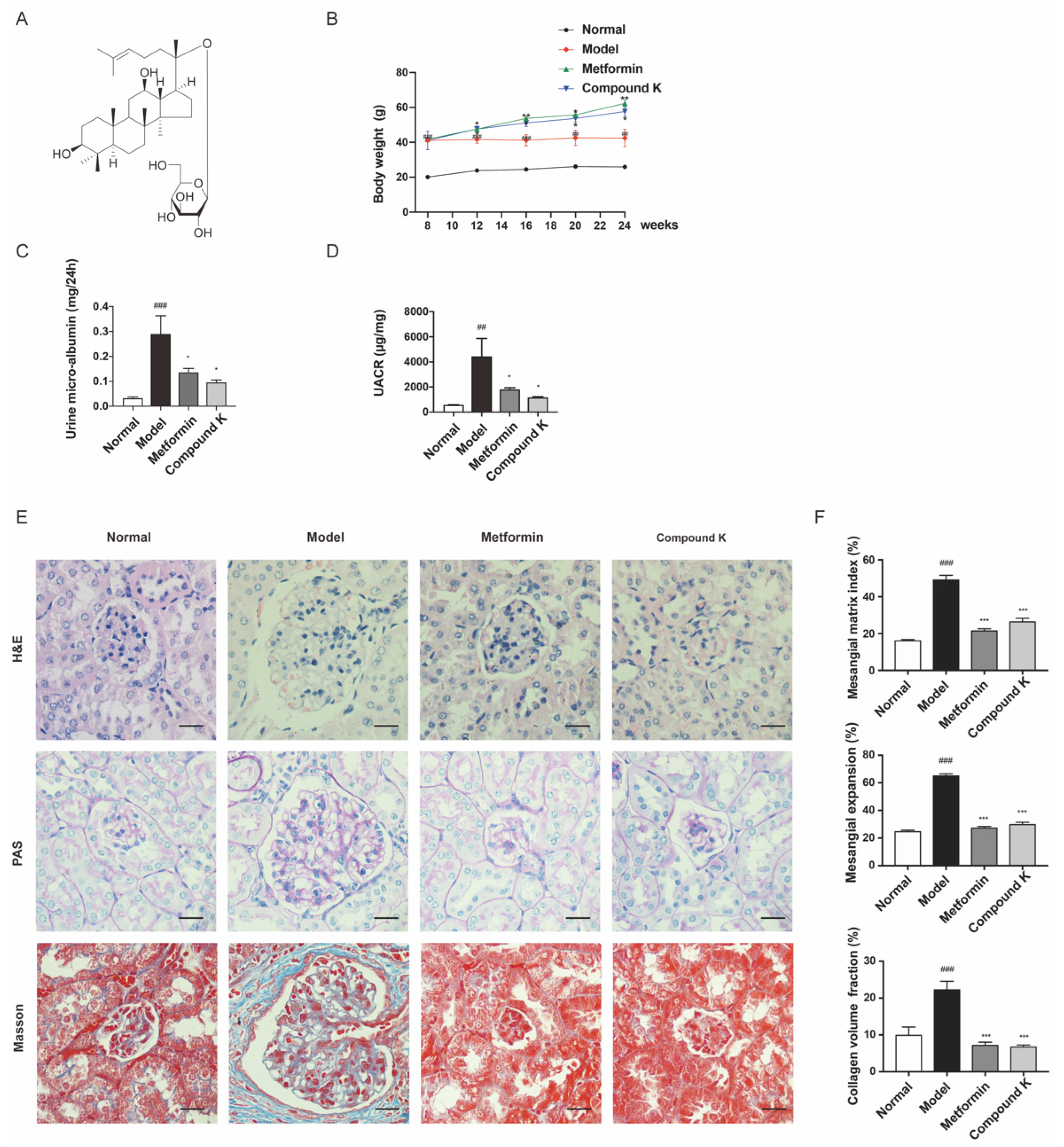 Ijms 23 12863 g001 Ijms 23 12863 g001