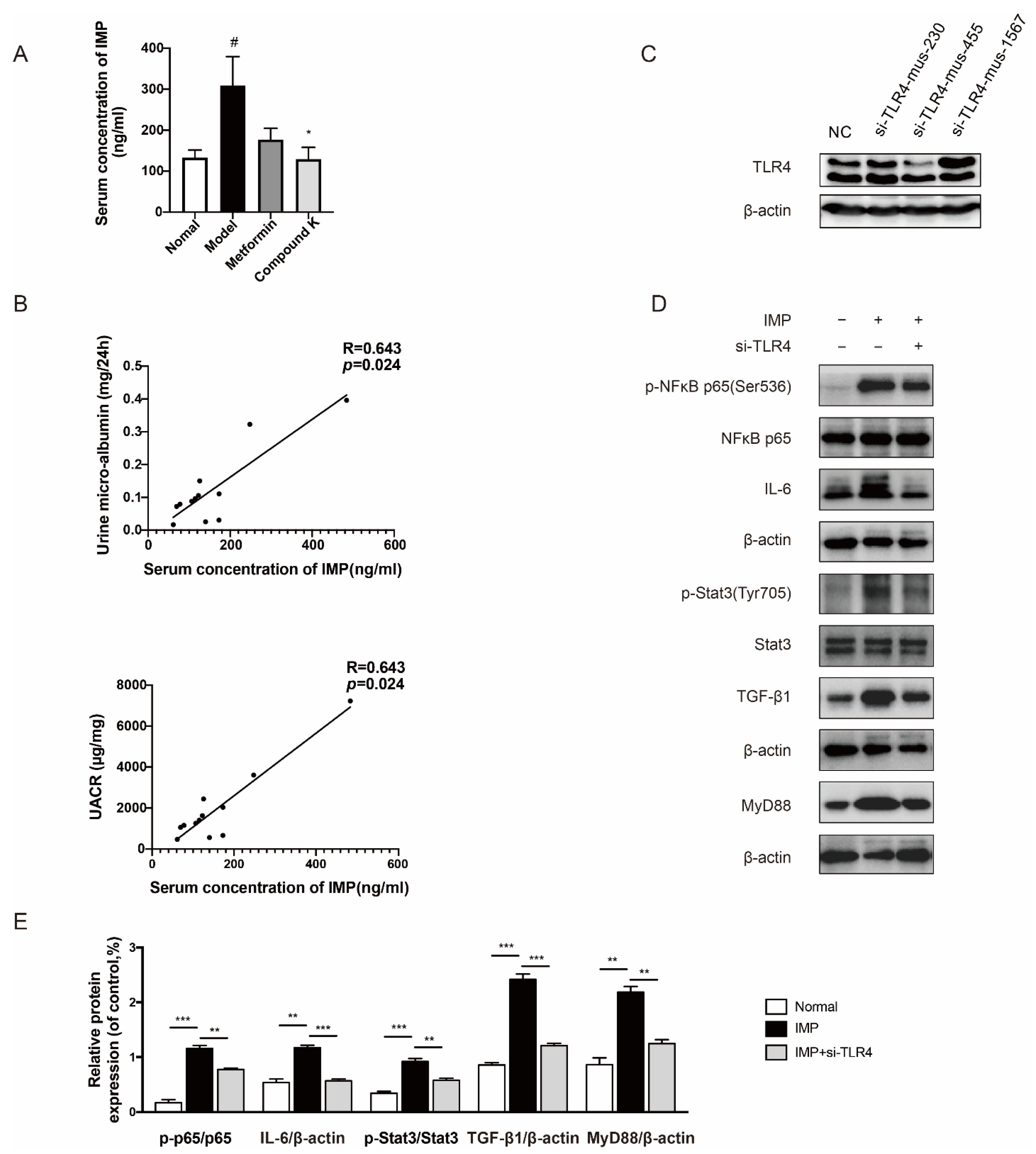 Ijms 23 12863 g003 Ijms 23 12863 g003