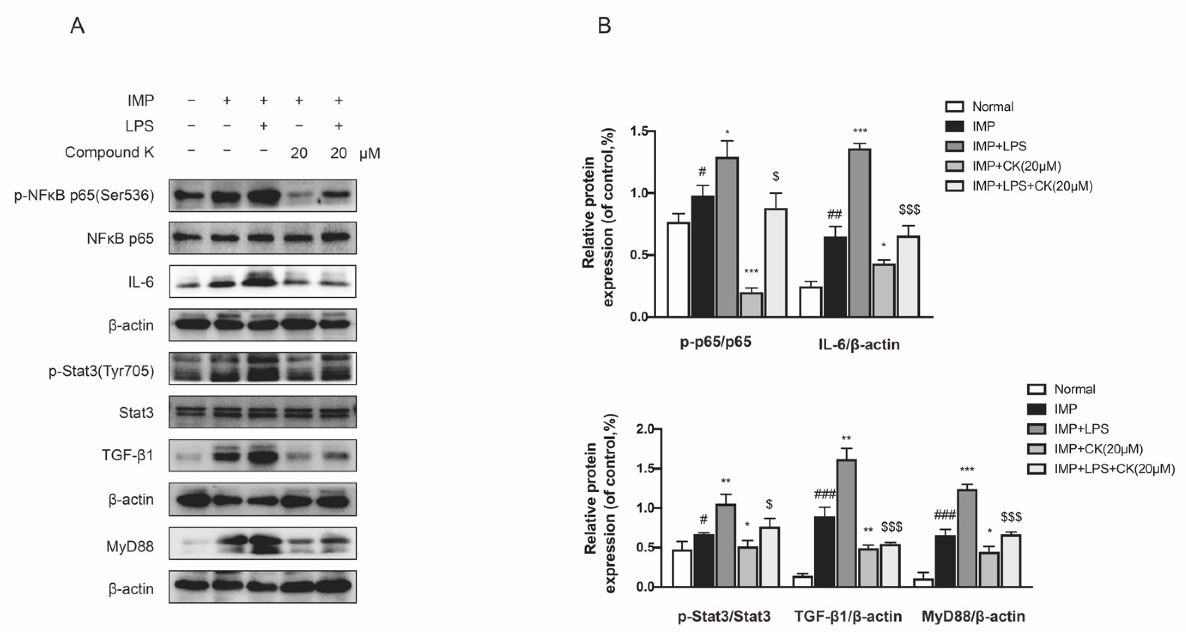 Ijms 23 12863 g006 Ijms 23 12863 g006