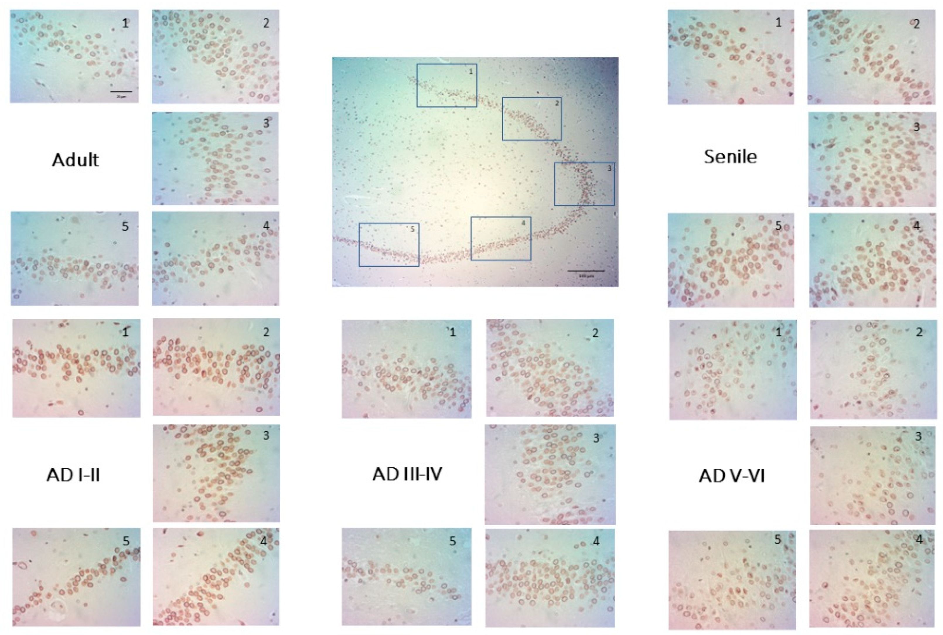 Ijms 23 12873 g002 Ijms 23 12873 g002