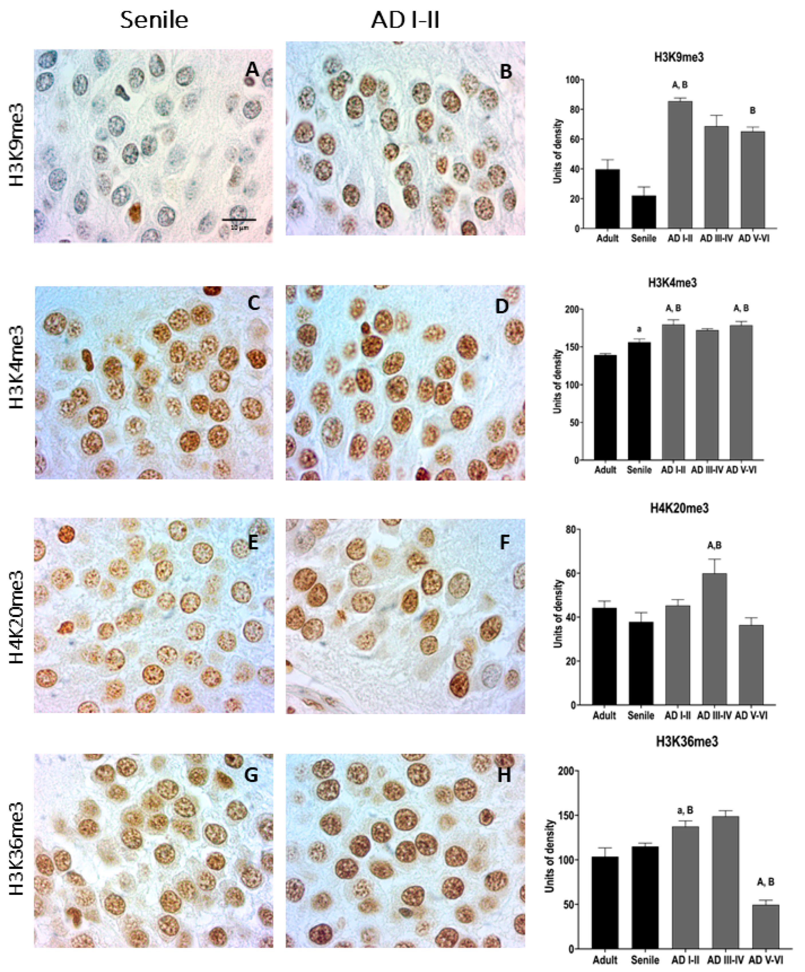 Ijms 23 12873 g004 Ijms 23 12873 g004