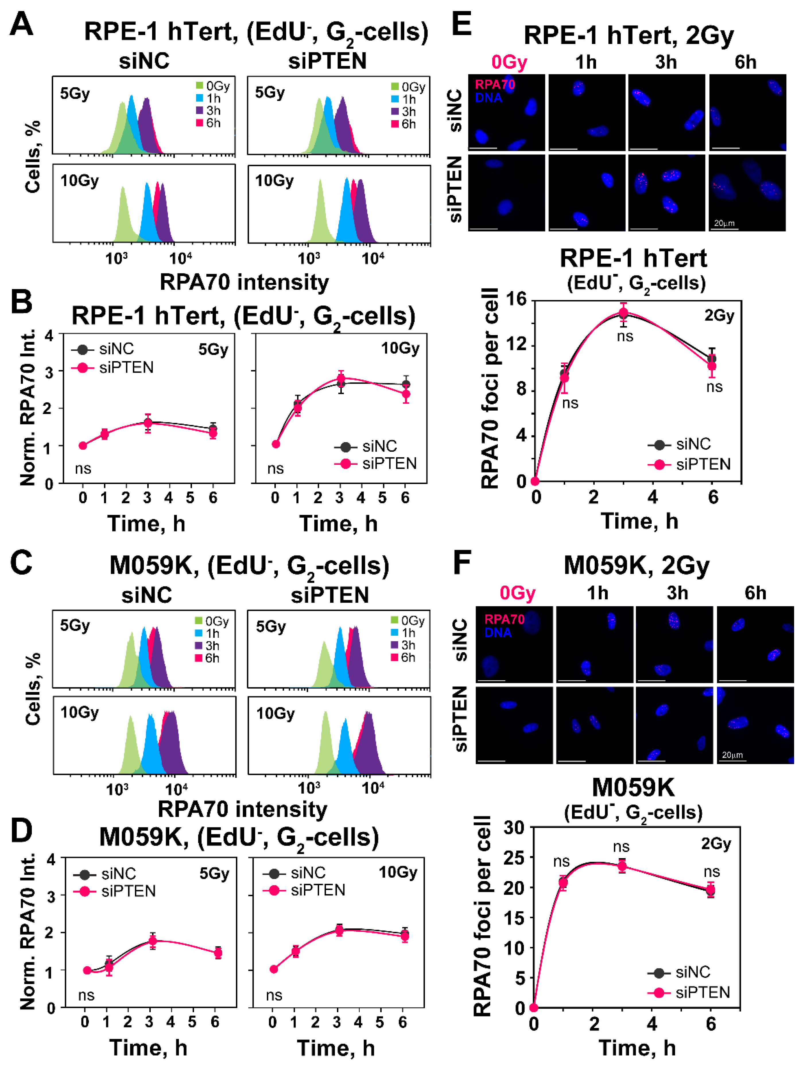 Ijms 23 12876 g004 Ijms 23 12876 g004