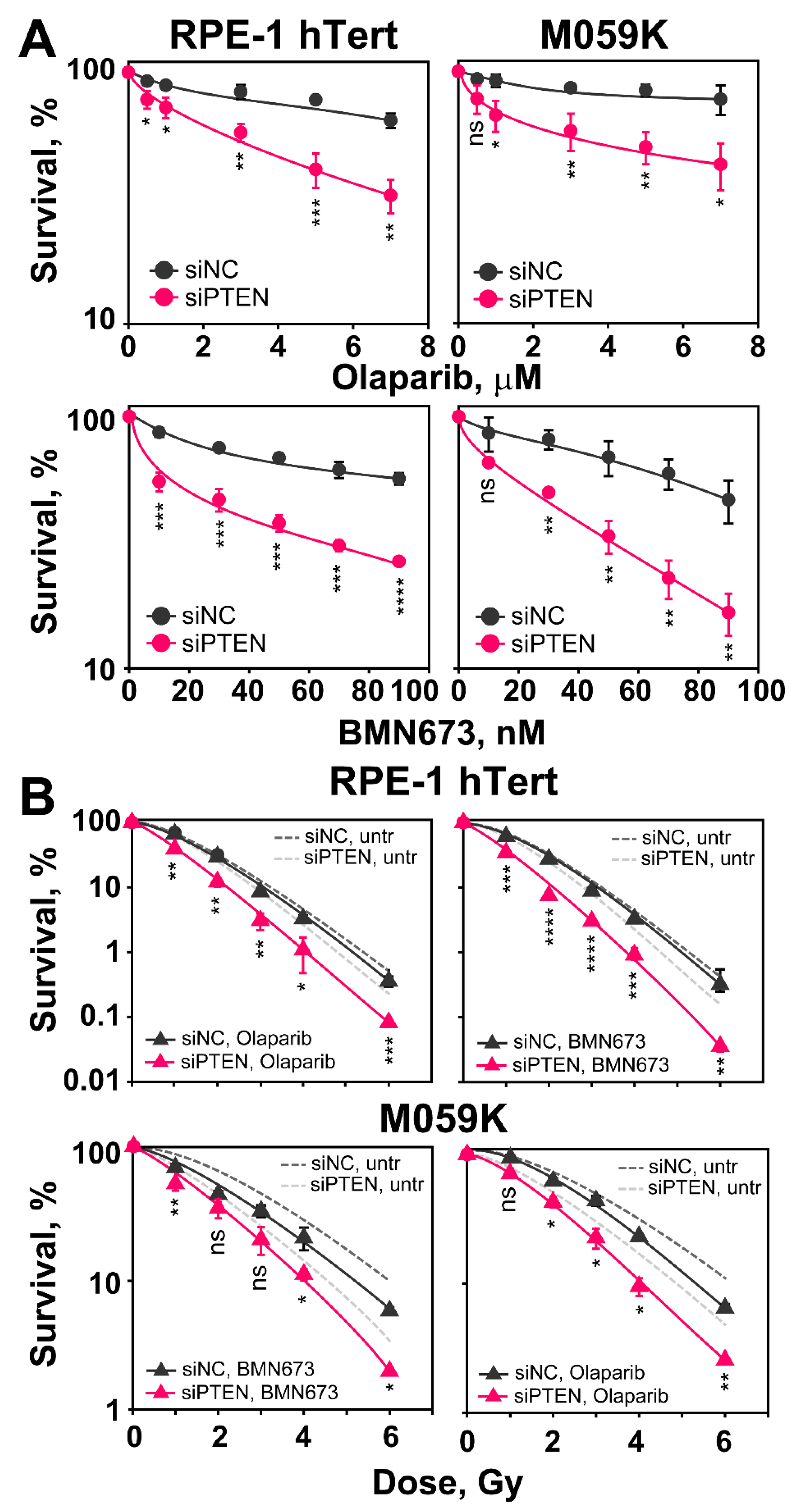 Ijms 23 12876 g008 Ijms 23 12876 g008