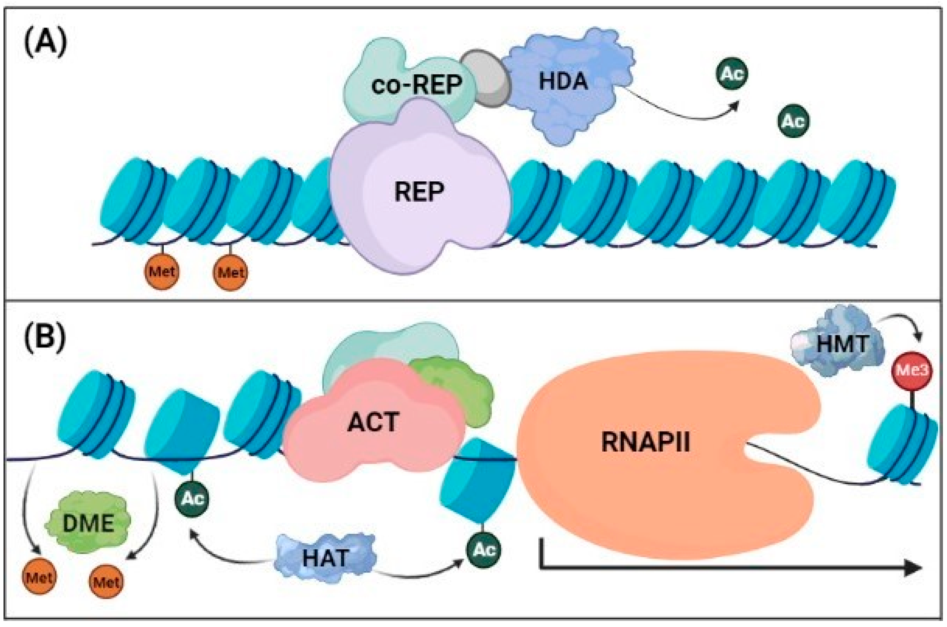 Ijms 23 12918 g002 Ijms 23 12918 g002