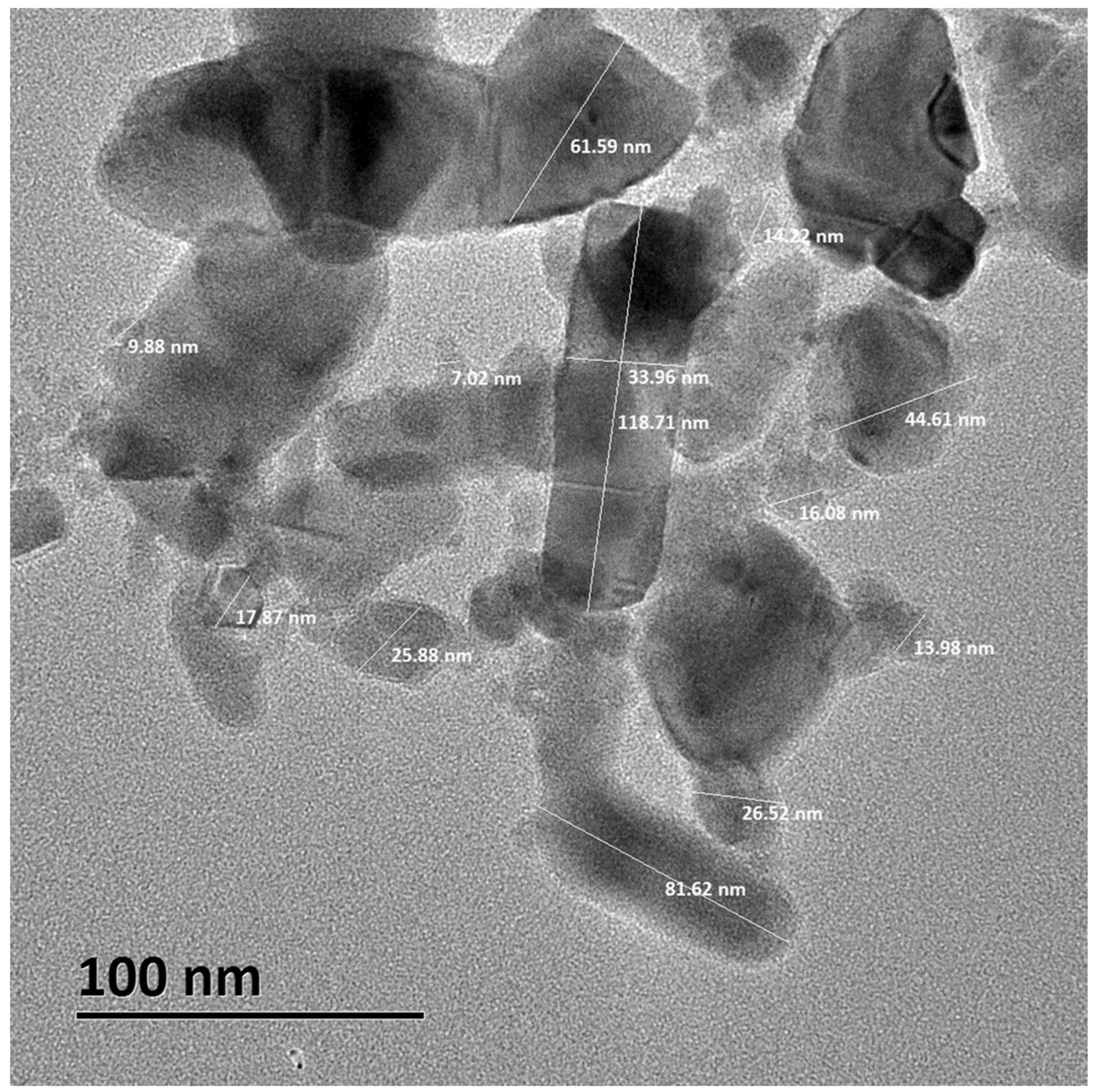 Ijms 23 12940 g002 Ijms 23 12940 g002