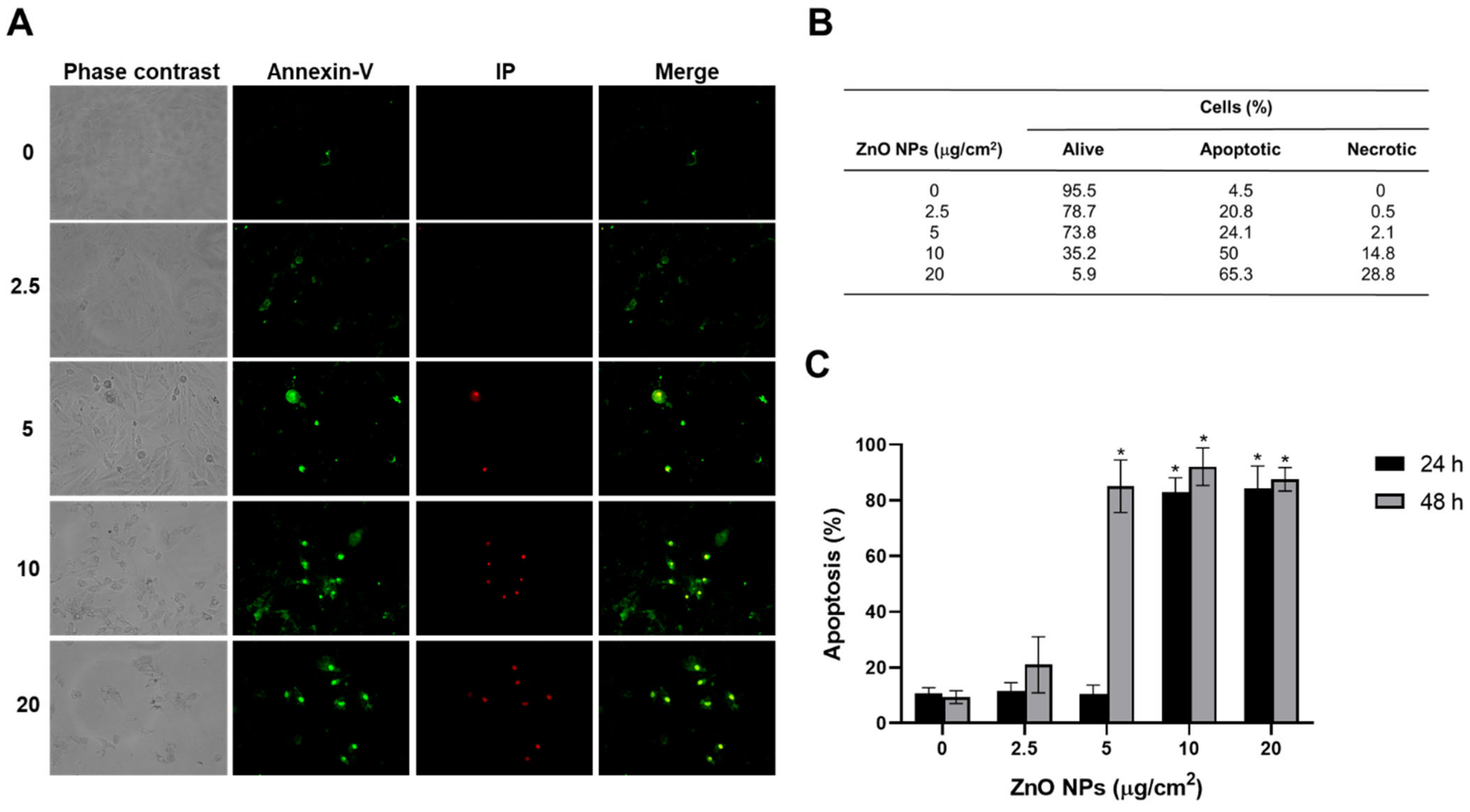 Ijms 23 12940 g009 Ijms 23 12940 g009