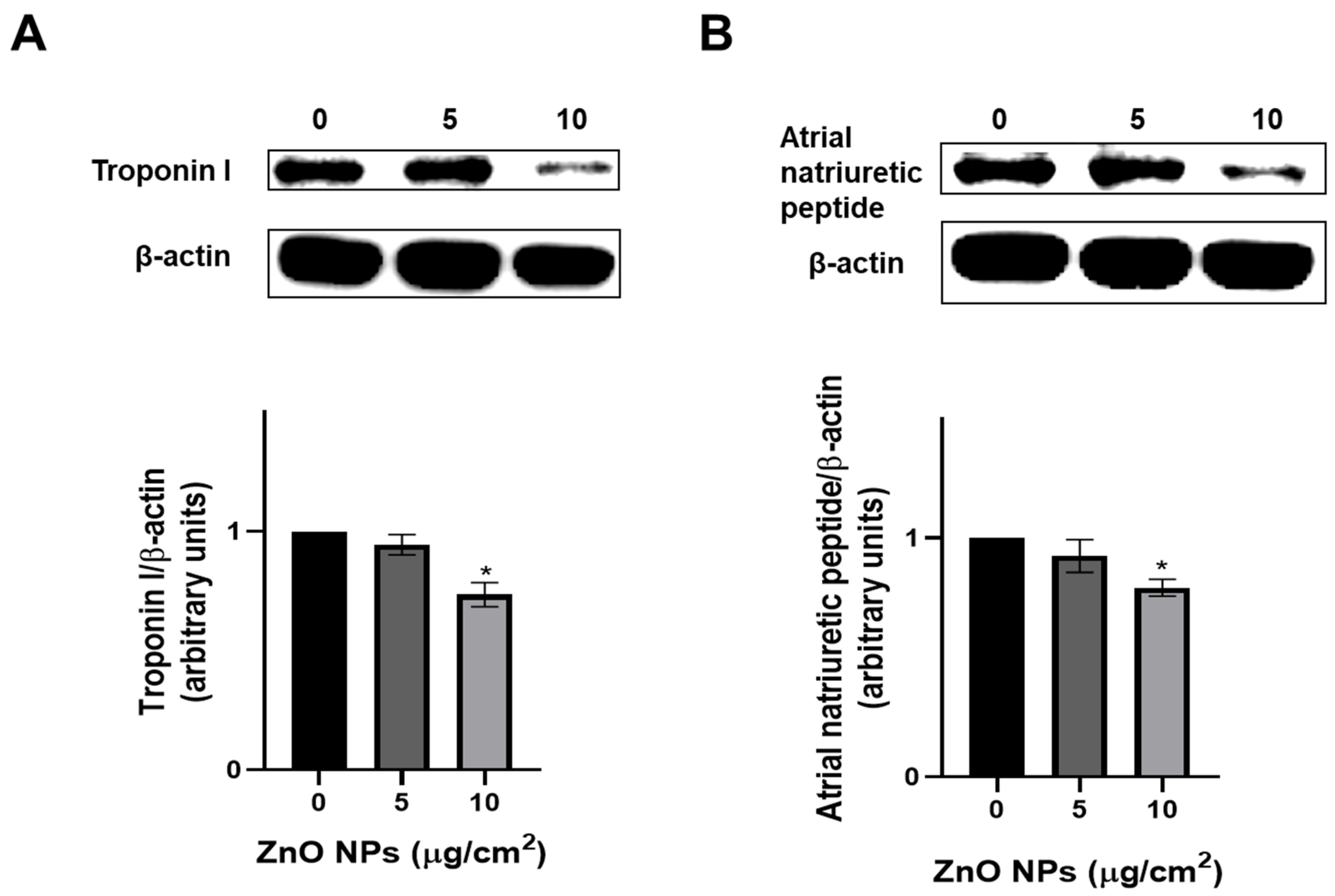 Ijms 23 12940 g010 Ijms 23 12940 g010