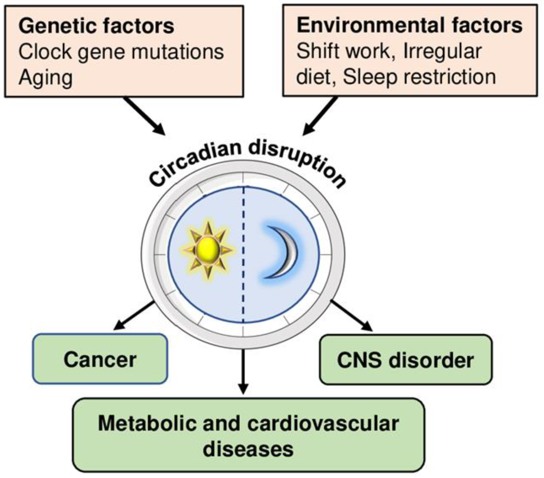 Ijms 23 12954 g002 Ijms 23 12954 g002