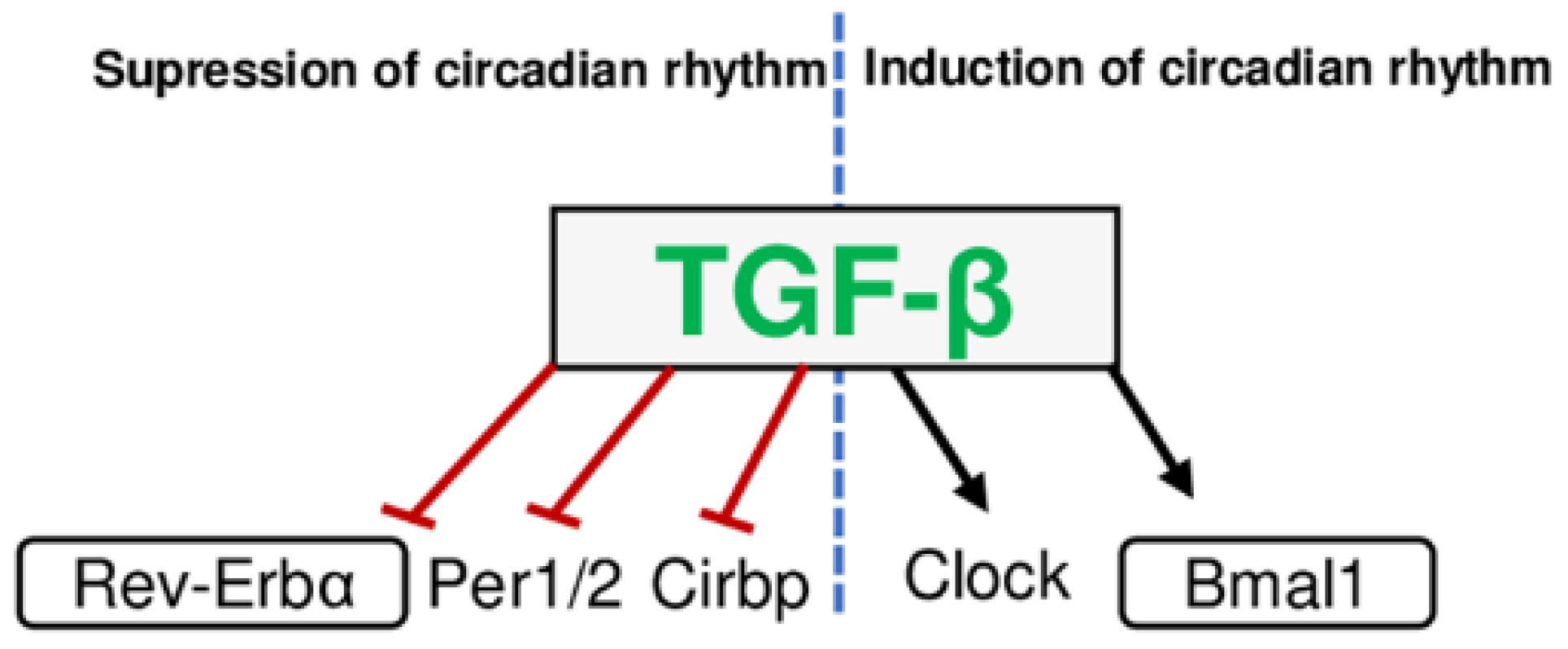 Ijms 23 12954 g005 Ijms 23 12954 g005