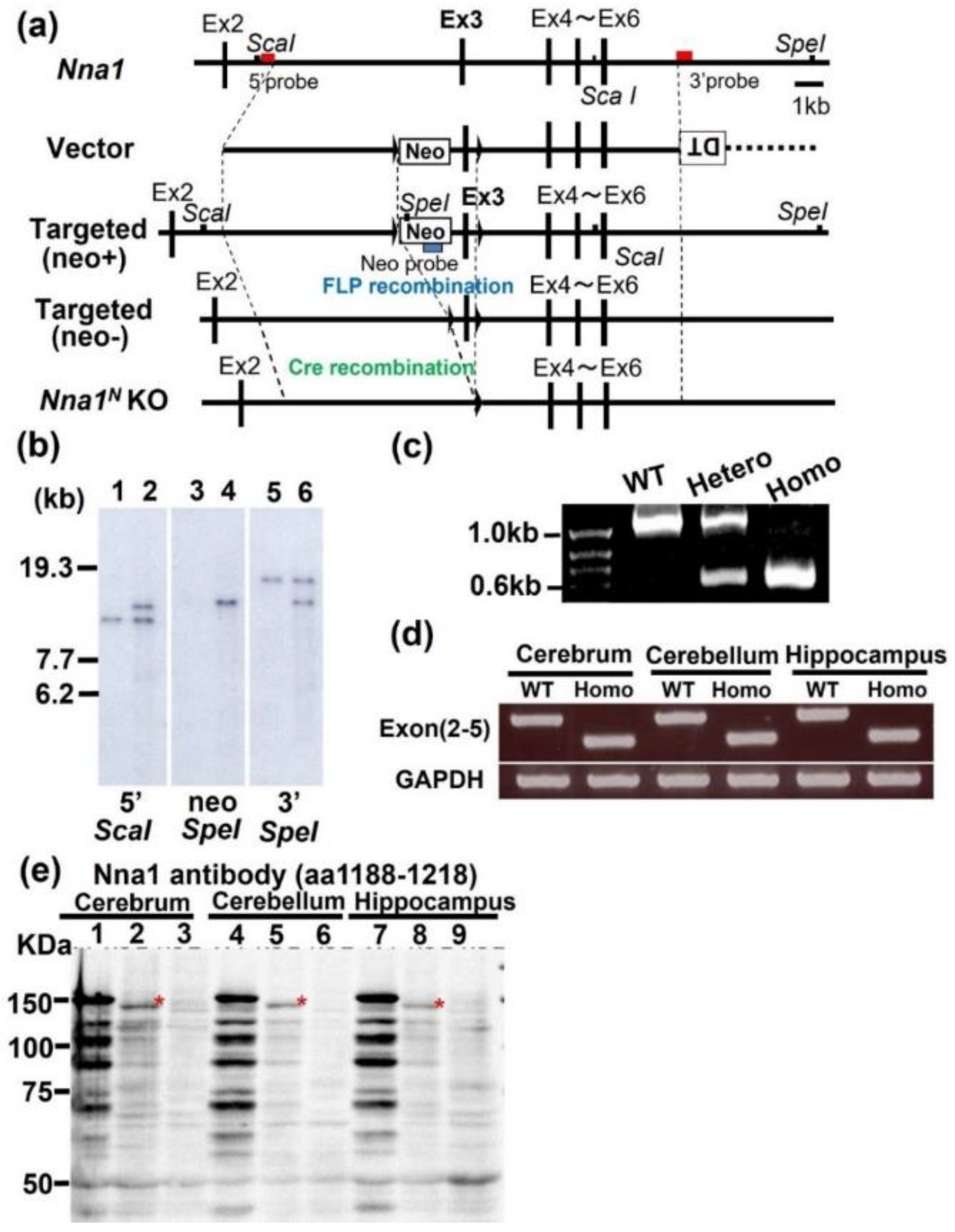 Ijms 23 12961 g001 Ijms 23 12961 g001