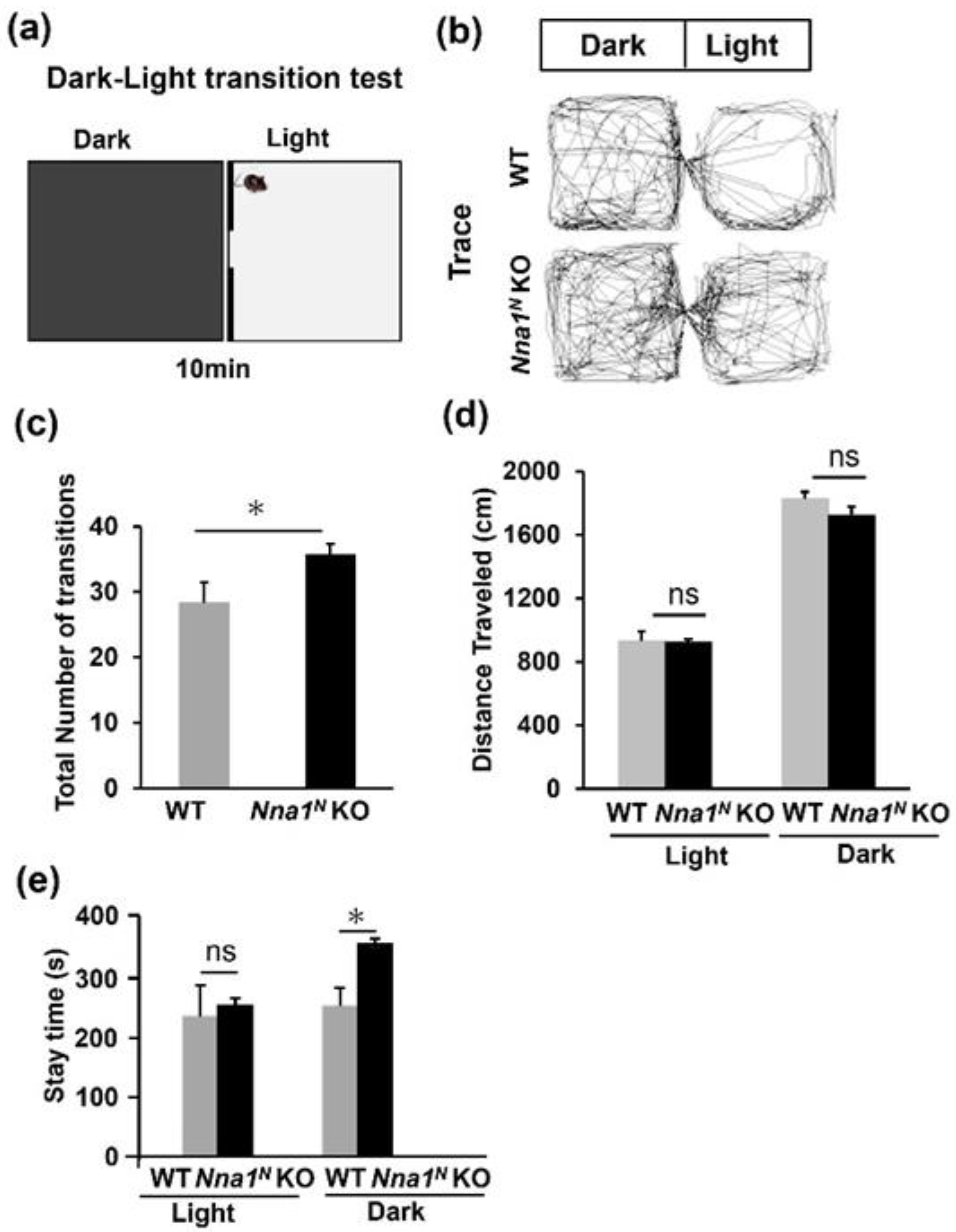 Ijms 23 12961 g004 Ijms 23 12961 g004
