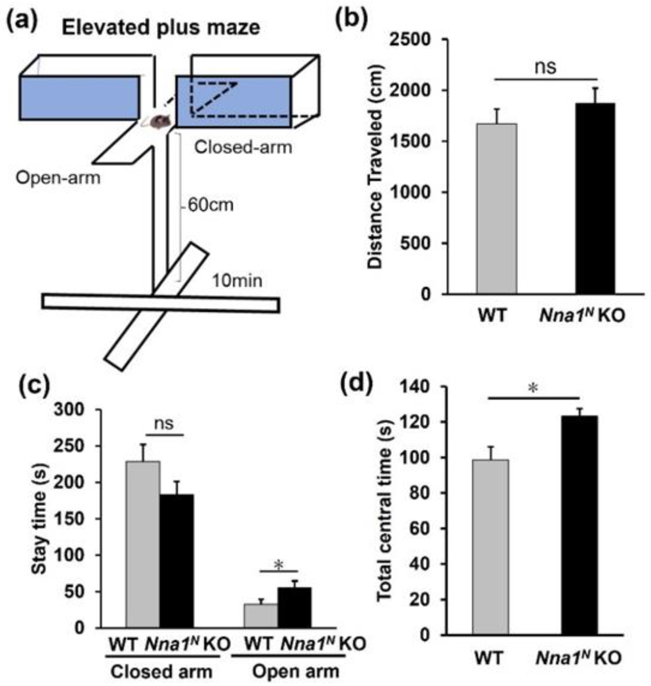 Ijms 23 12961 g005 Ijms 23 12961 g005