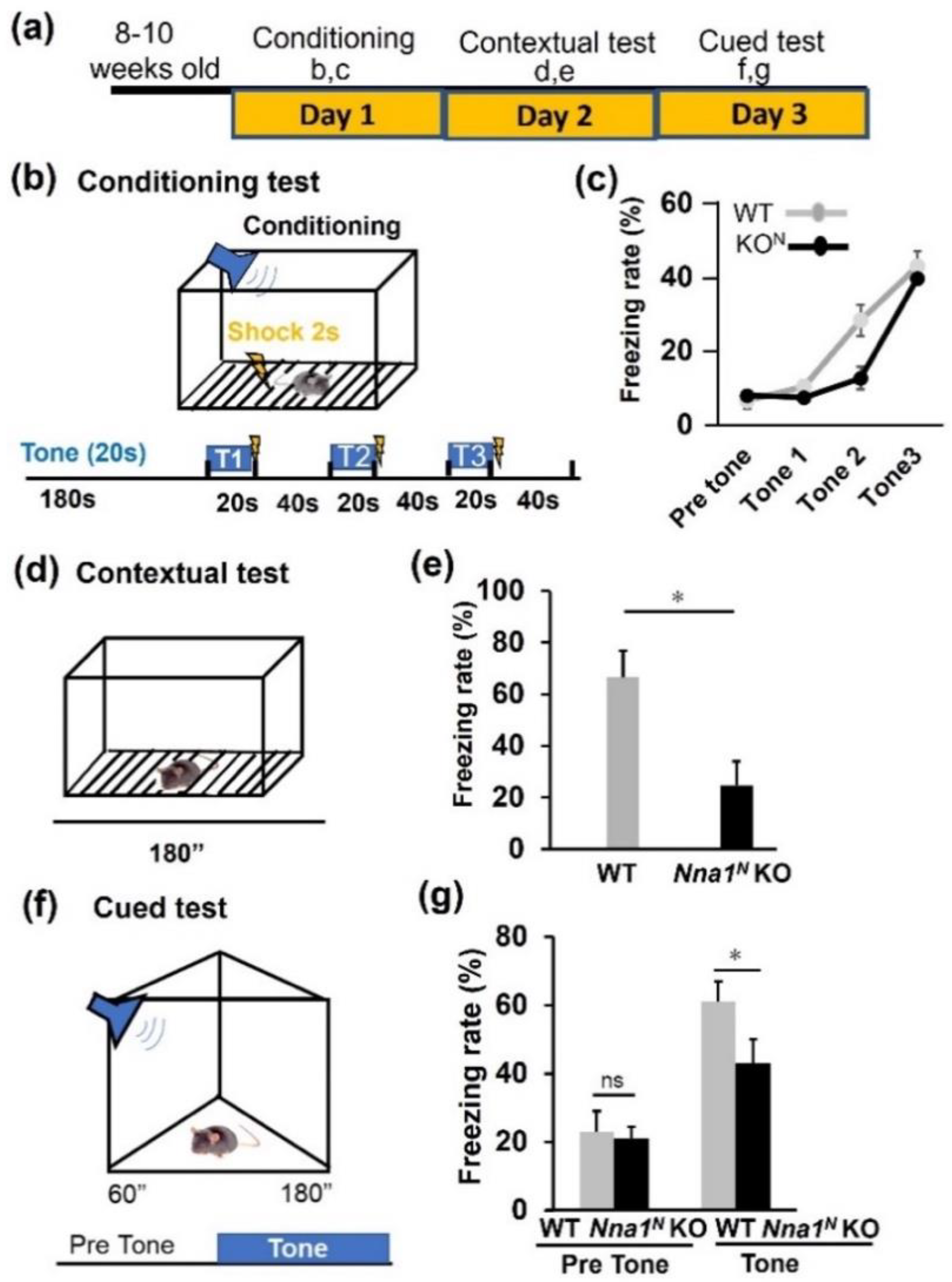 Ijms 23 12961 g006 Ijms 23 12961 g006