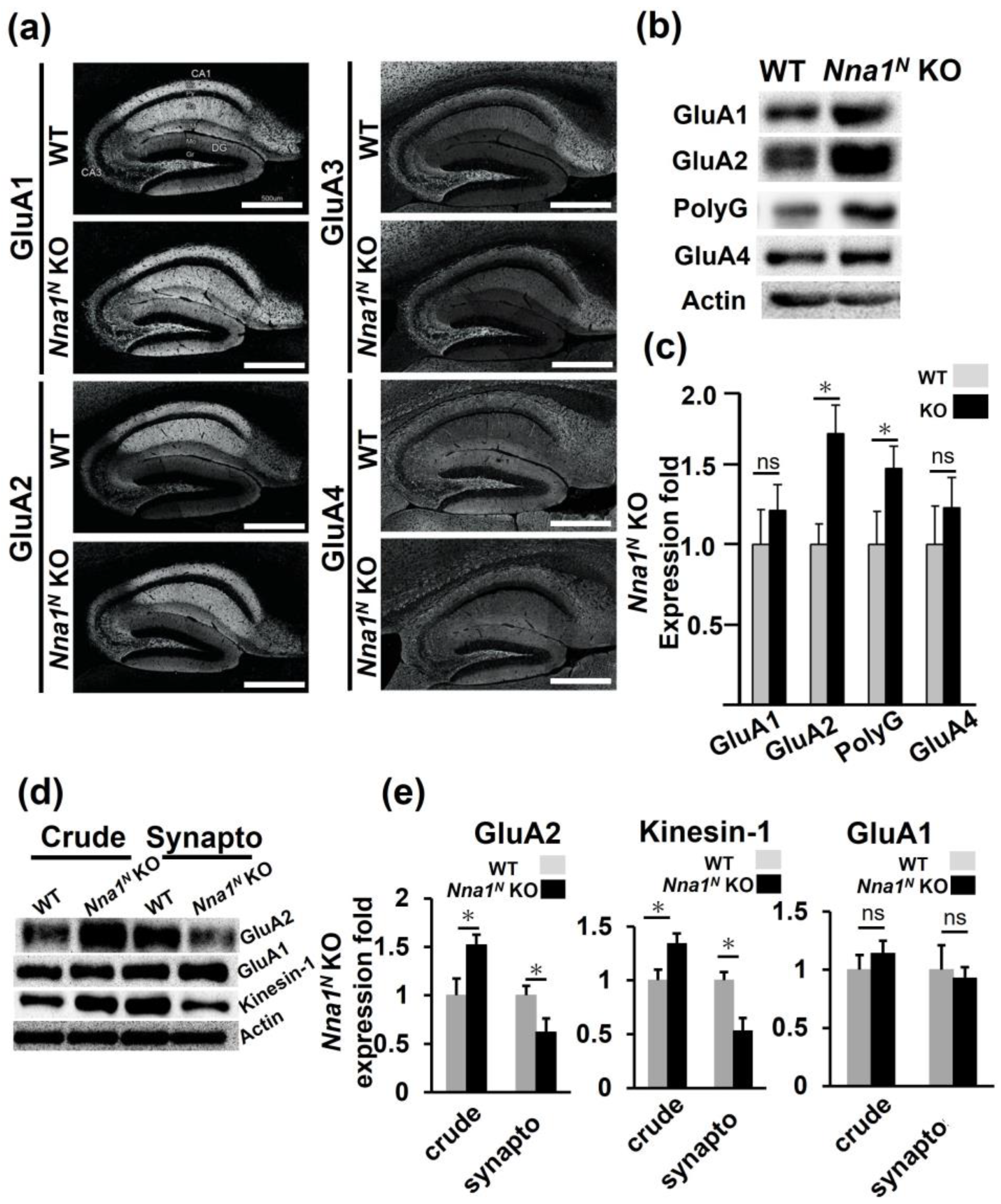 Ijms 23 12961 g007 Ijms 23 12961 g007