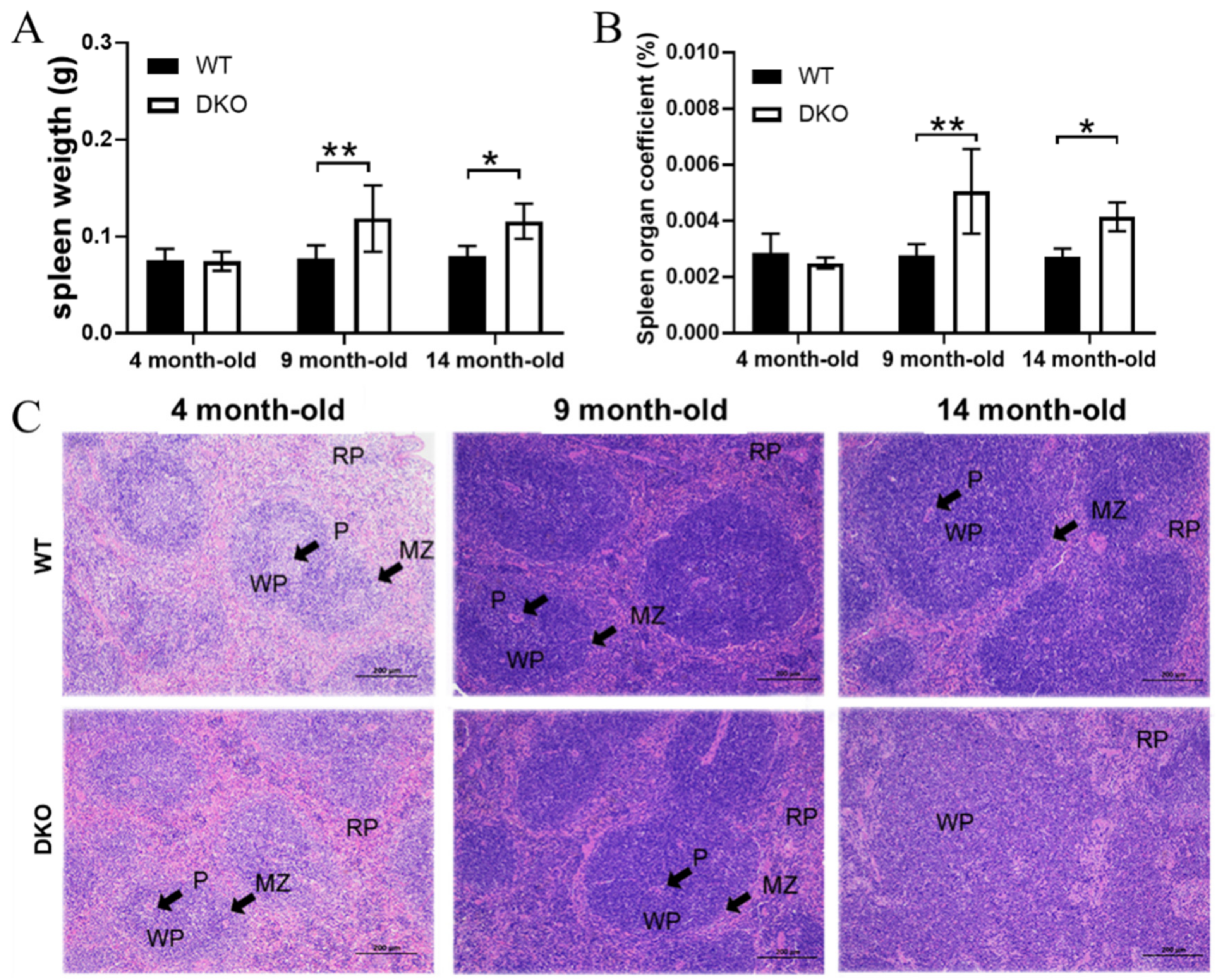 Ijms 23 12962 g001 Ijms 23 12962 g001