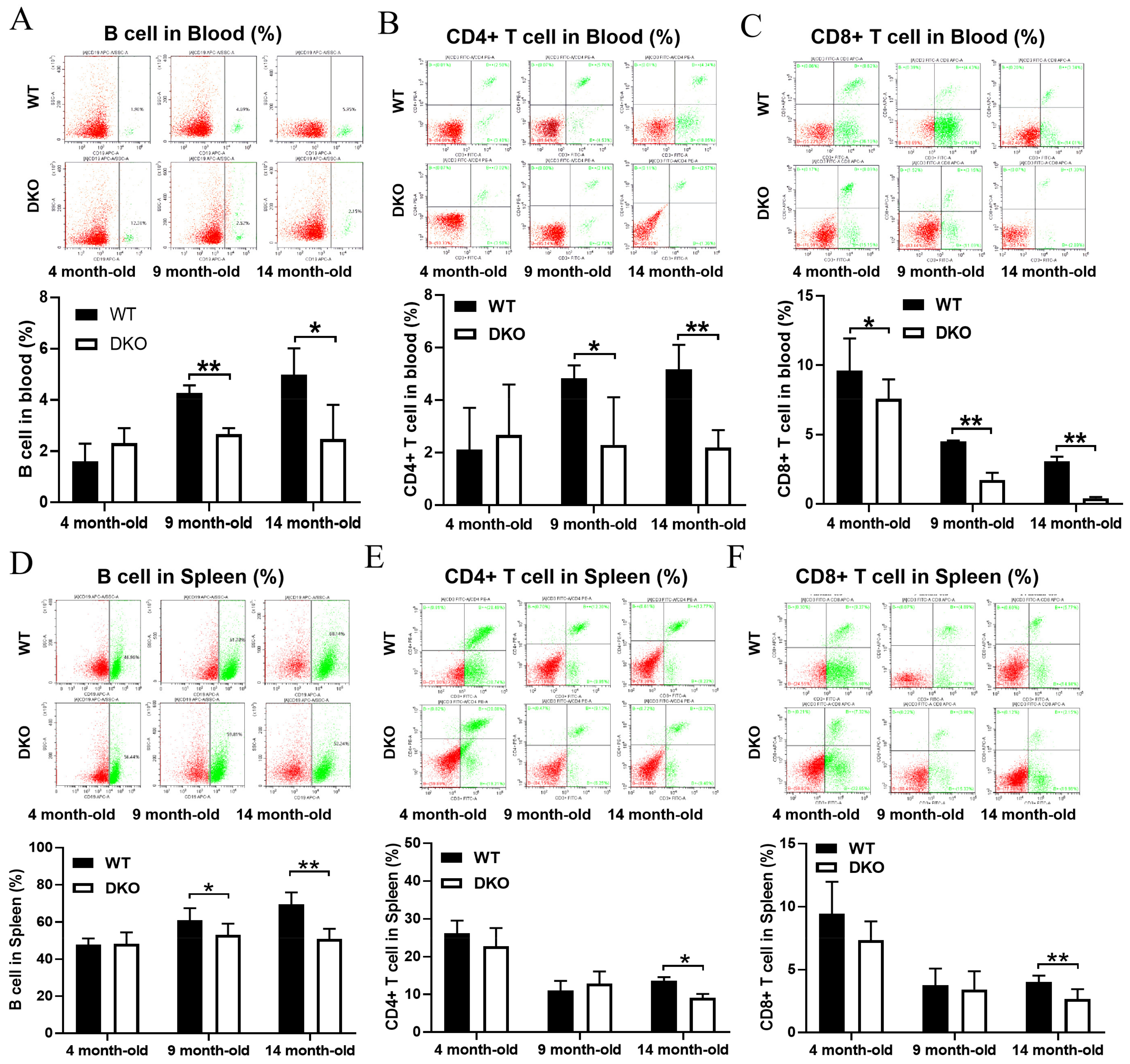 Ijms 23 12962 g002 Ijms 23 12962 g002