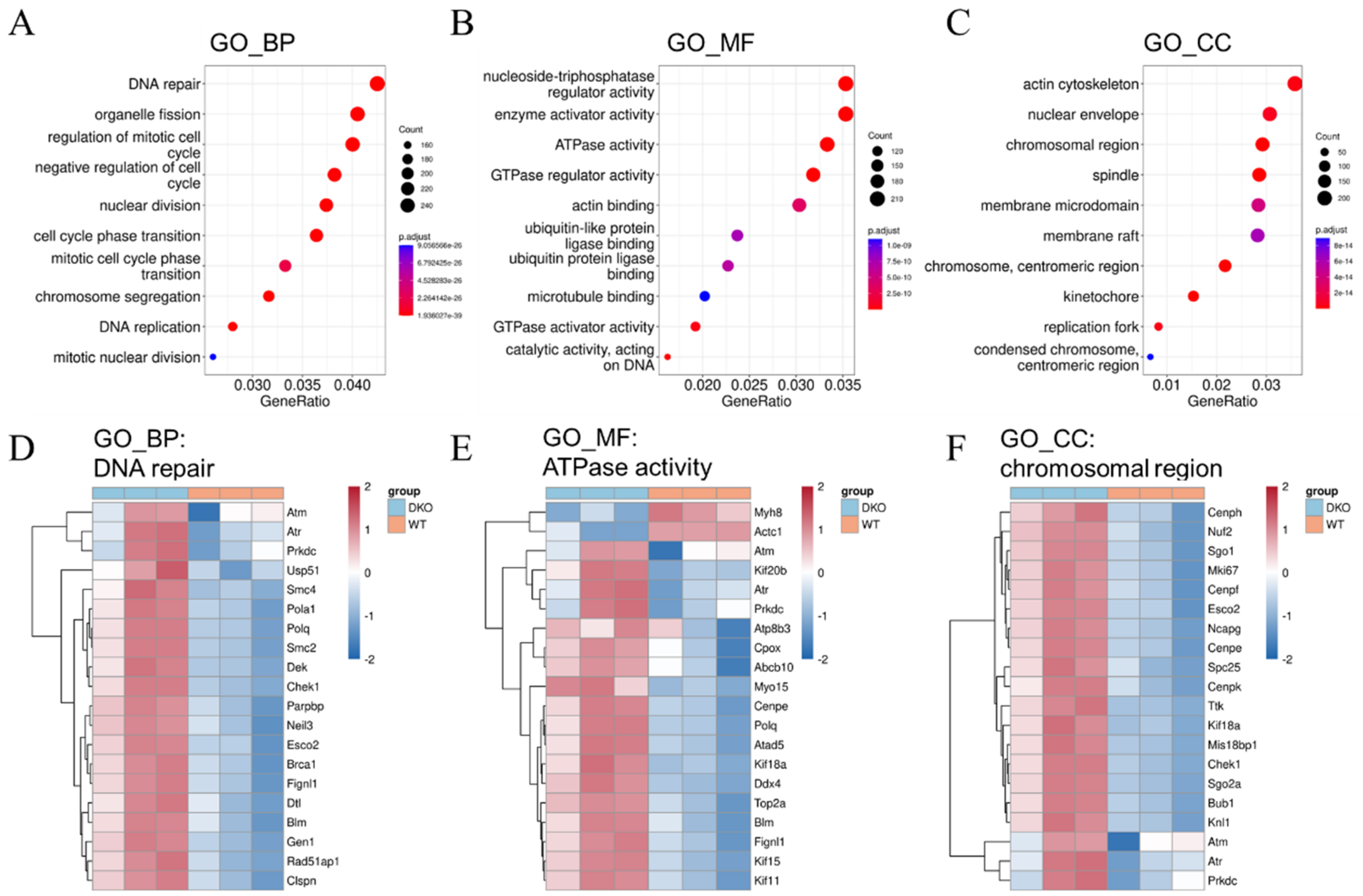 Ijms 23 12962 g003 Ijms 23 12962 g003