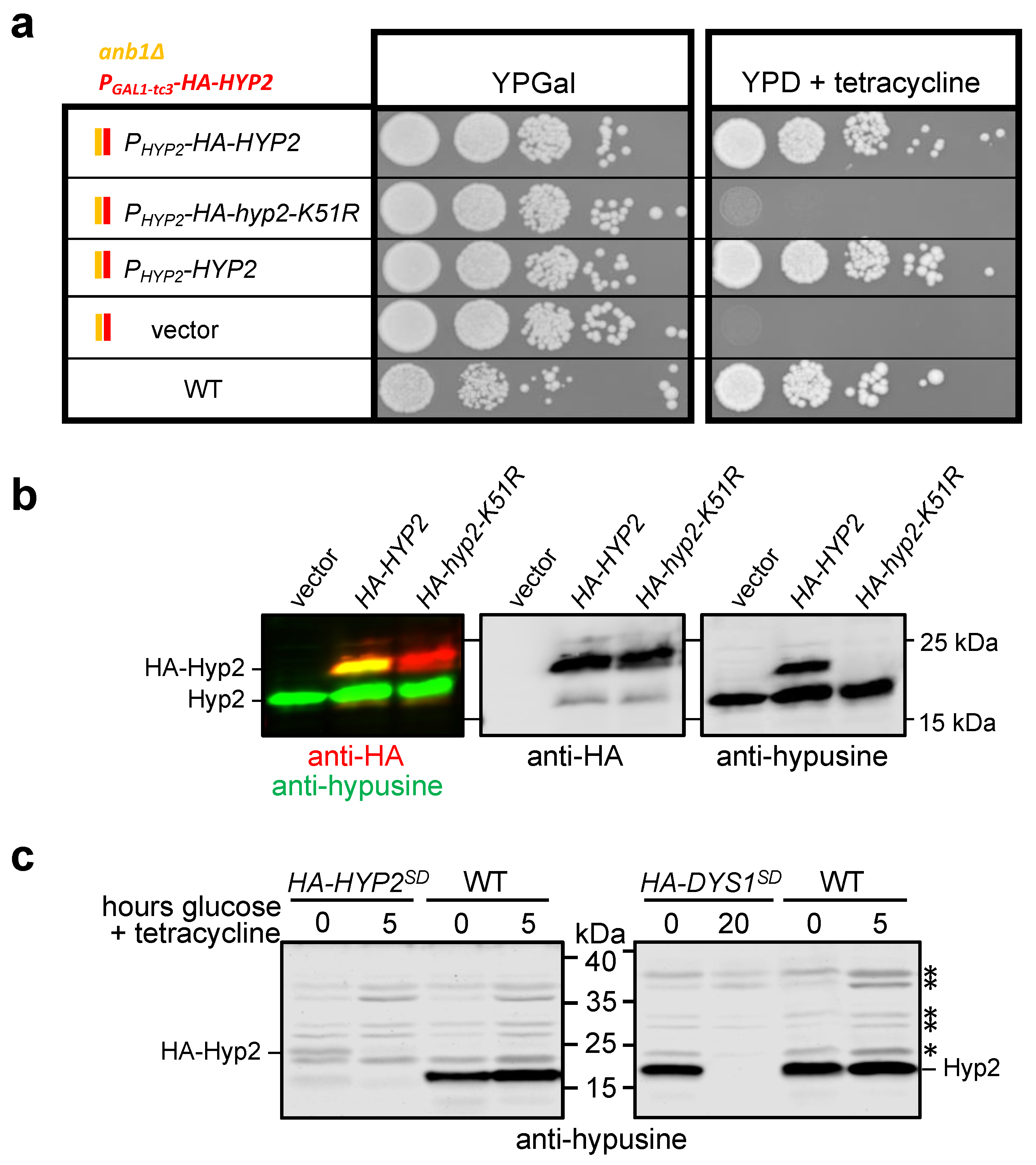 Ijms 23 12972 g003 Ijms 23 12972 g003
