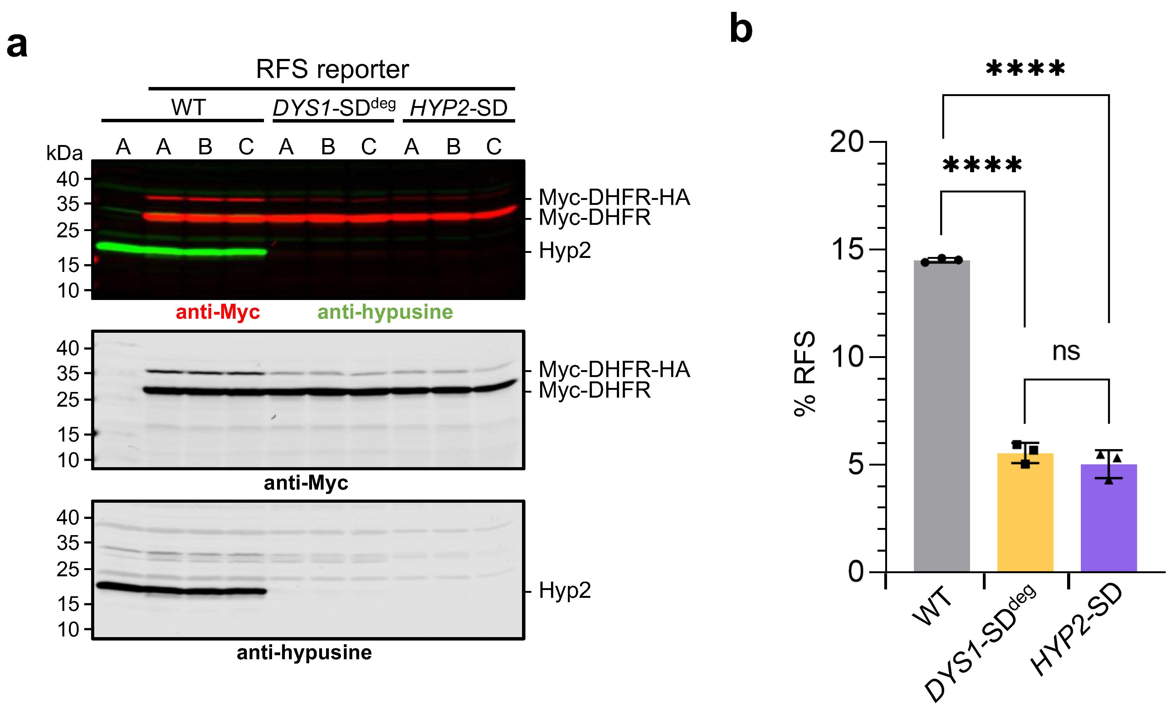Ijms 23 12972 g004 Ijms 23 12972 g004