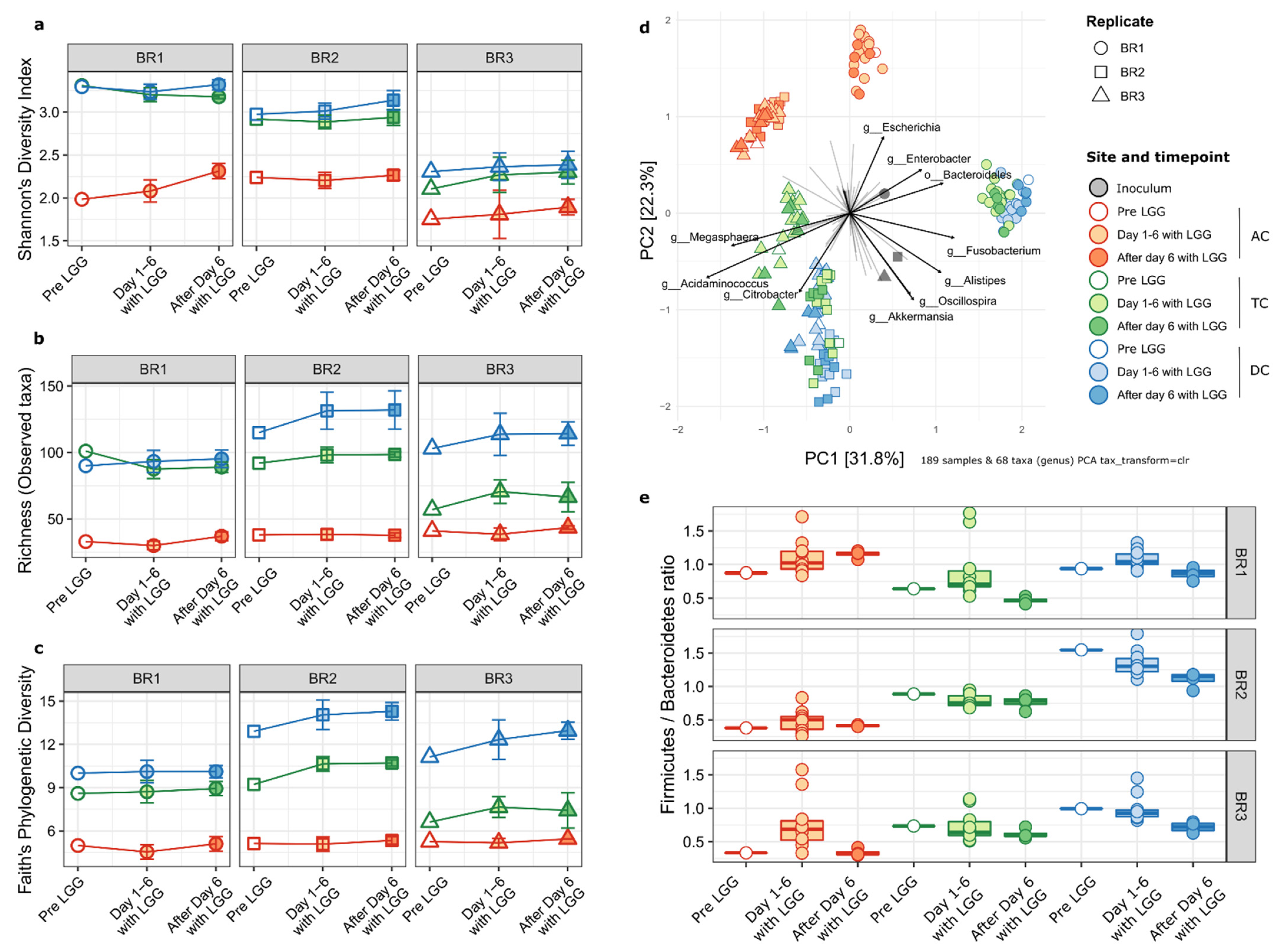 Ijms 23 12973 g004 Ijms 23 12973 g004