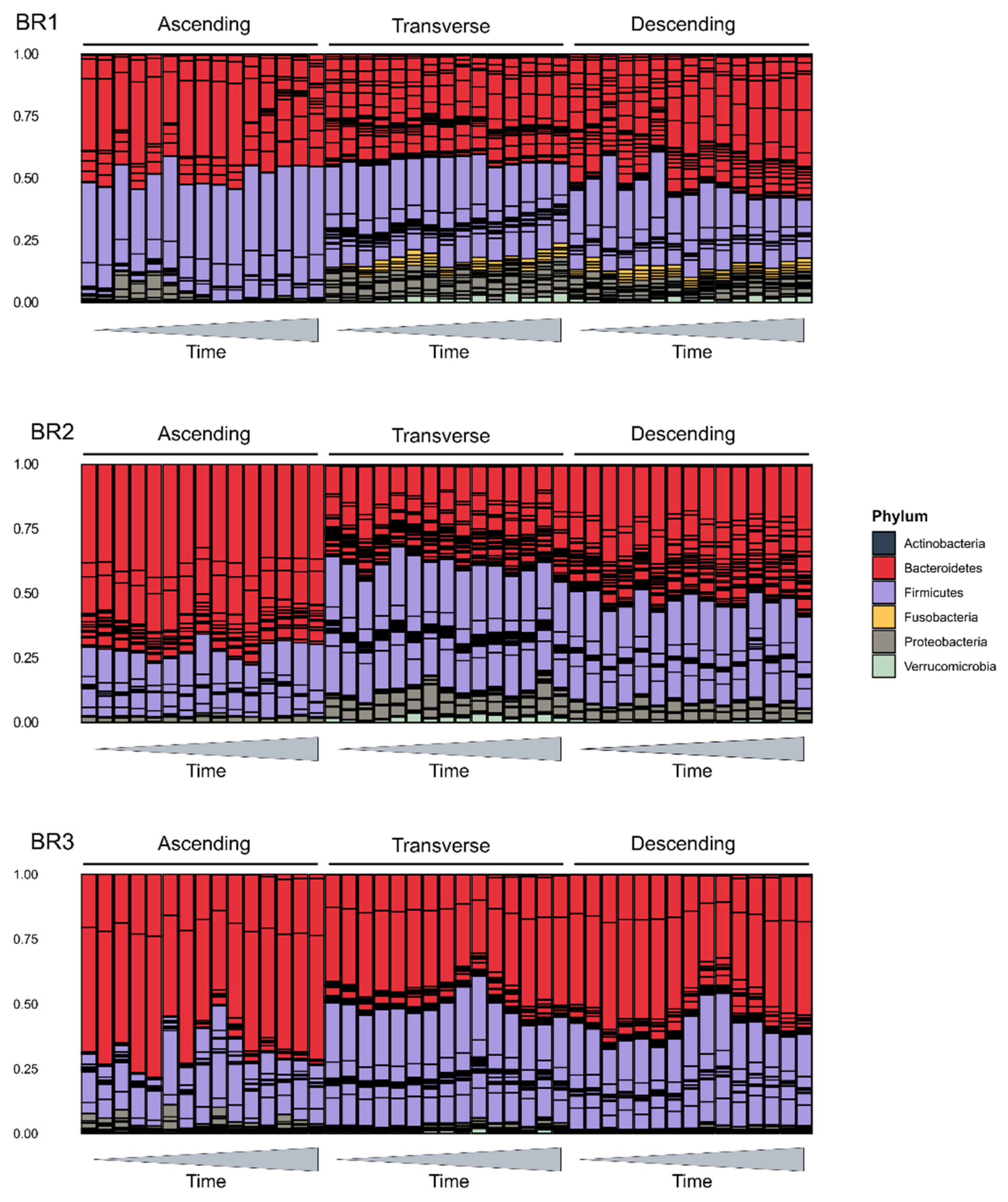 Ijms 23 12973 g005 Ijms 23 12973 g005