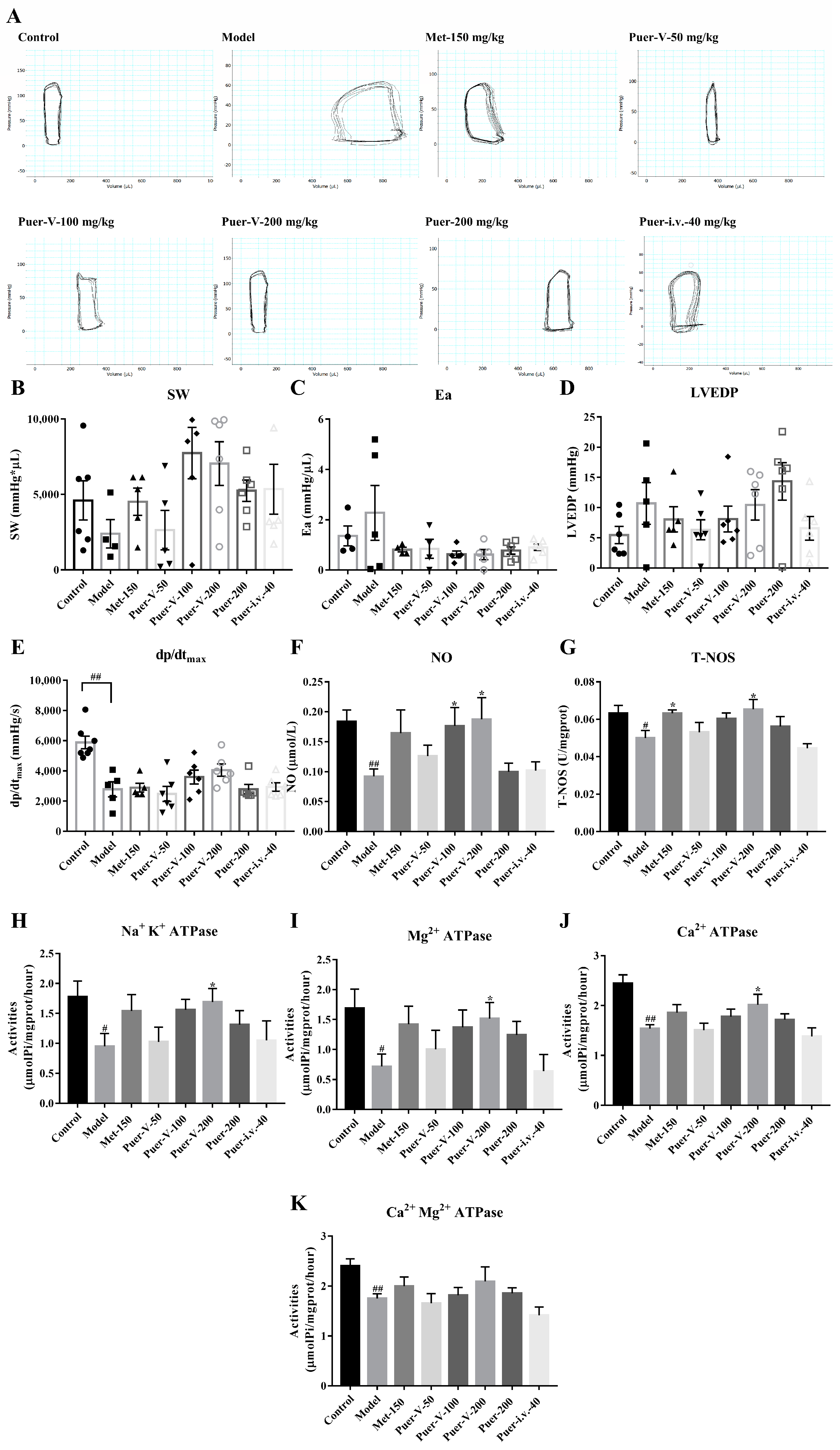 Ijms 23 13015 g004 Ijms 23 13015 g004