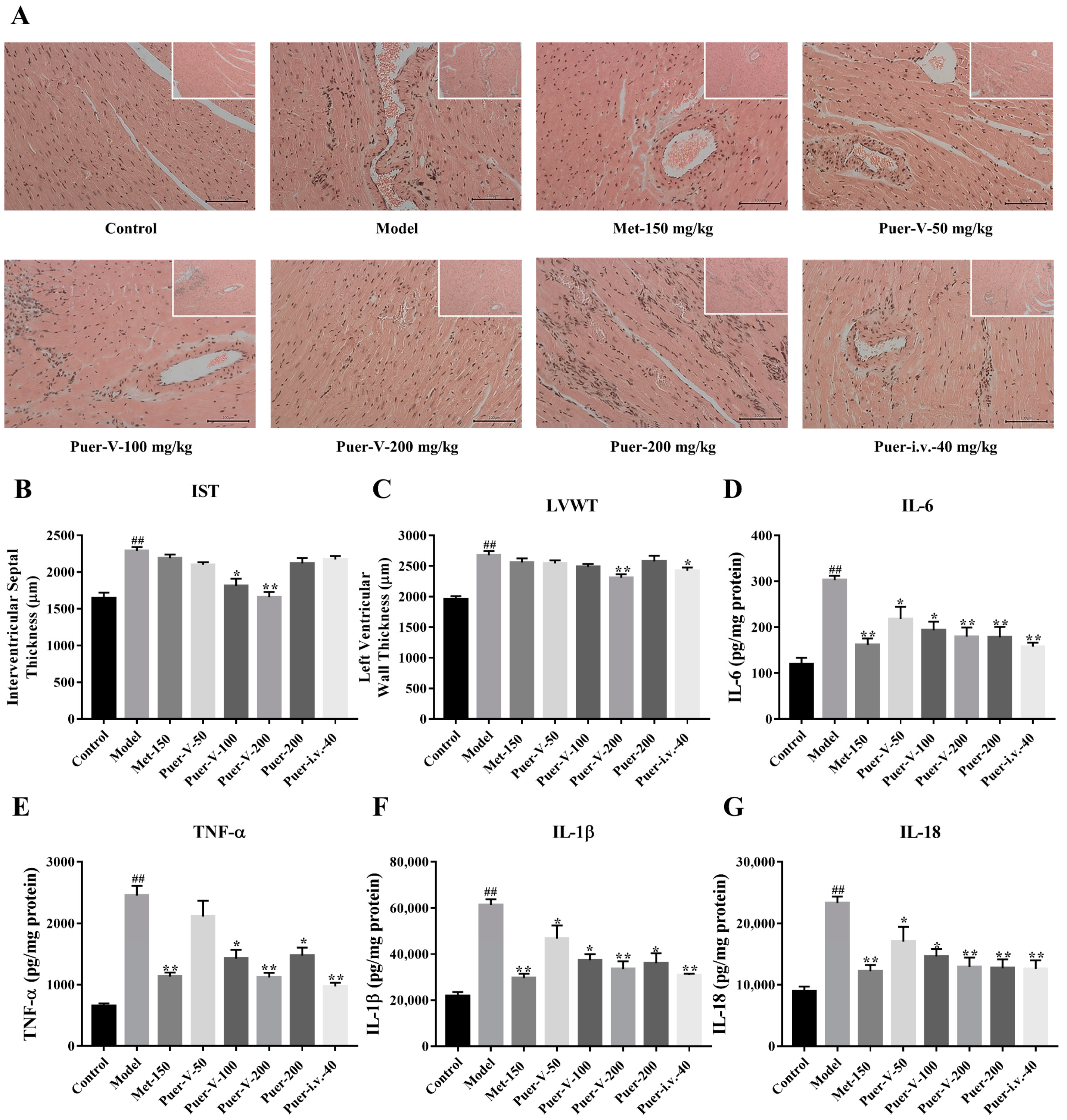 Ijms 23 13015 g006 Ijms 23 13015 g006