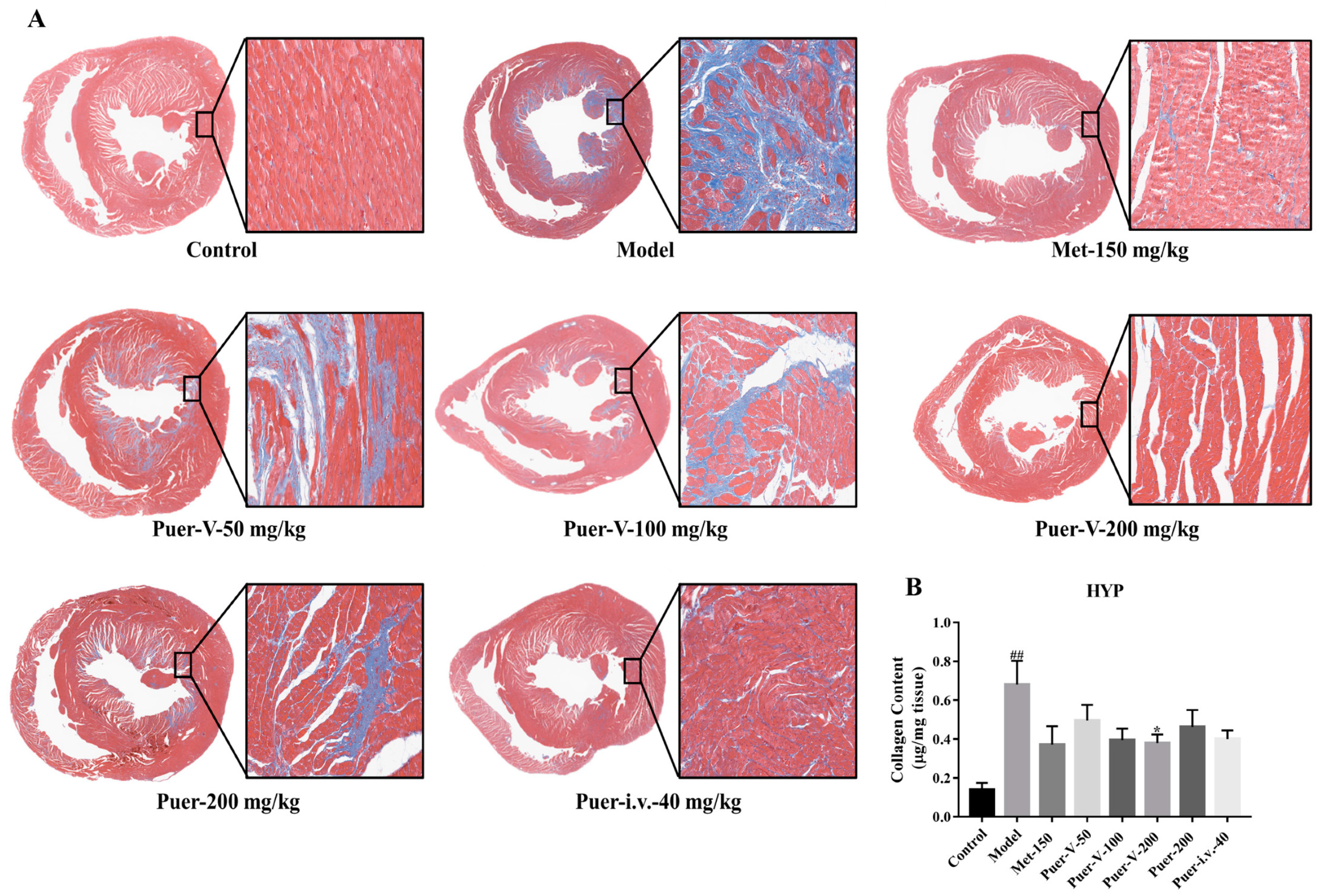 Ijms 23 13015 g007 Ijms 23 13015 g007