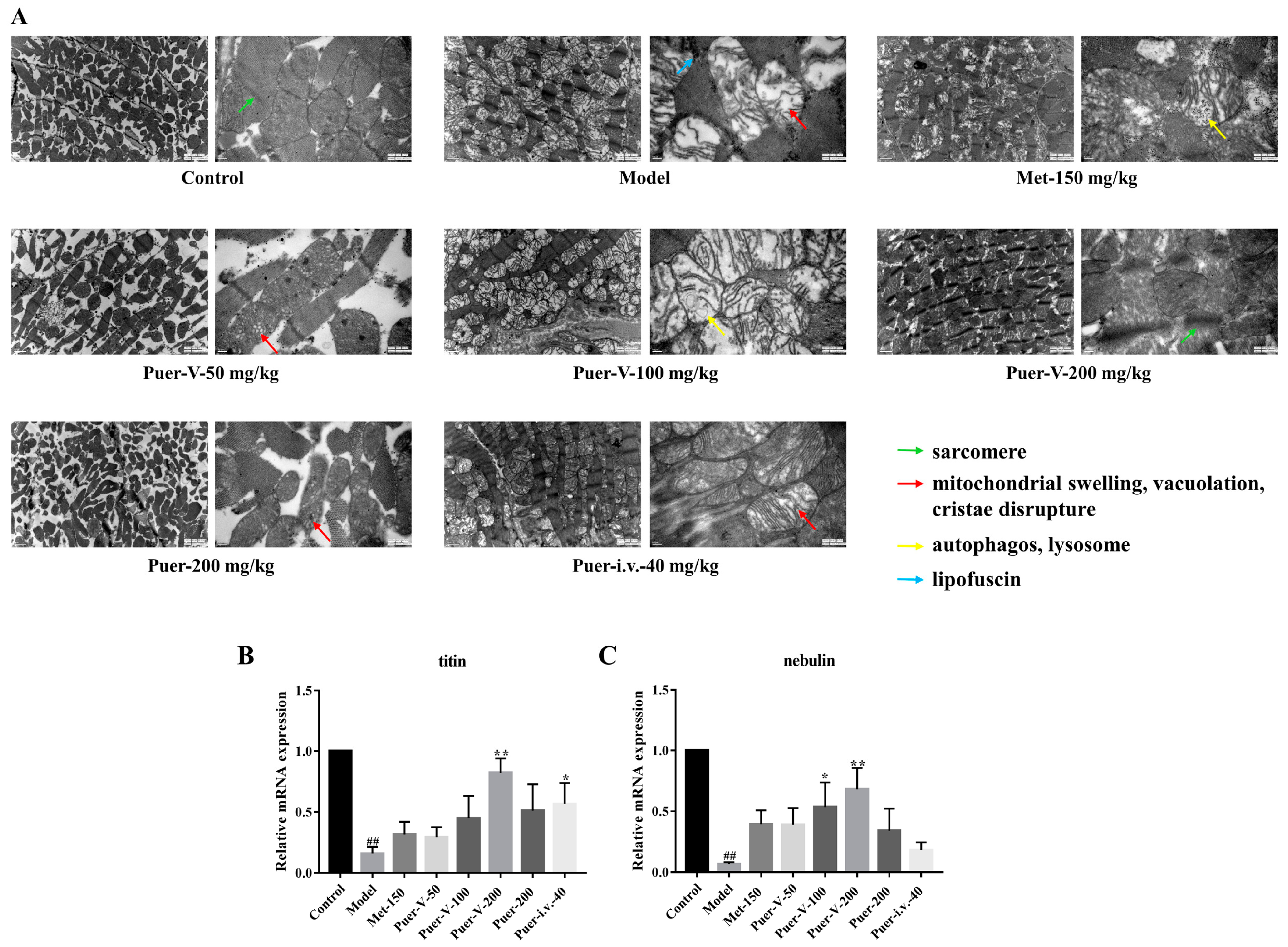 Ijms 23 13015 g008 Ijms 23 13015 g008
