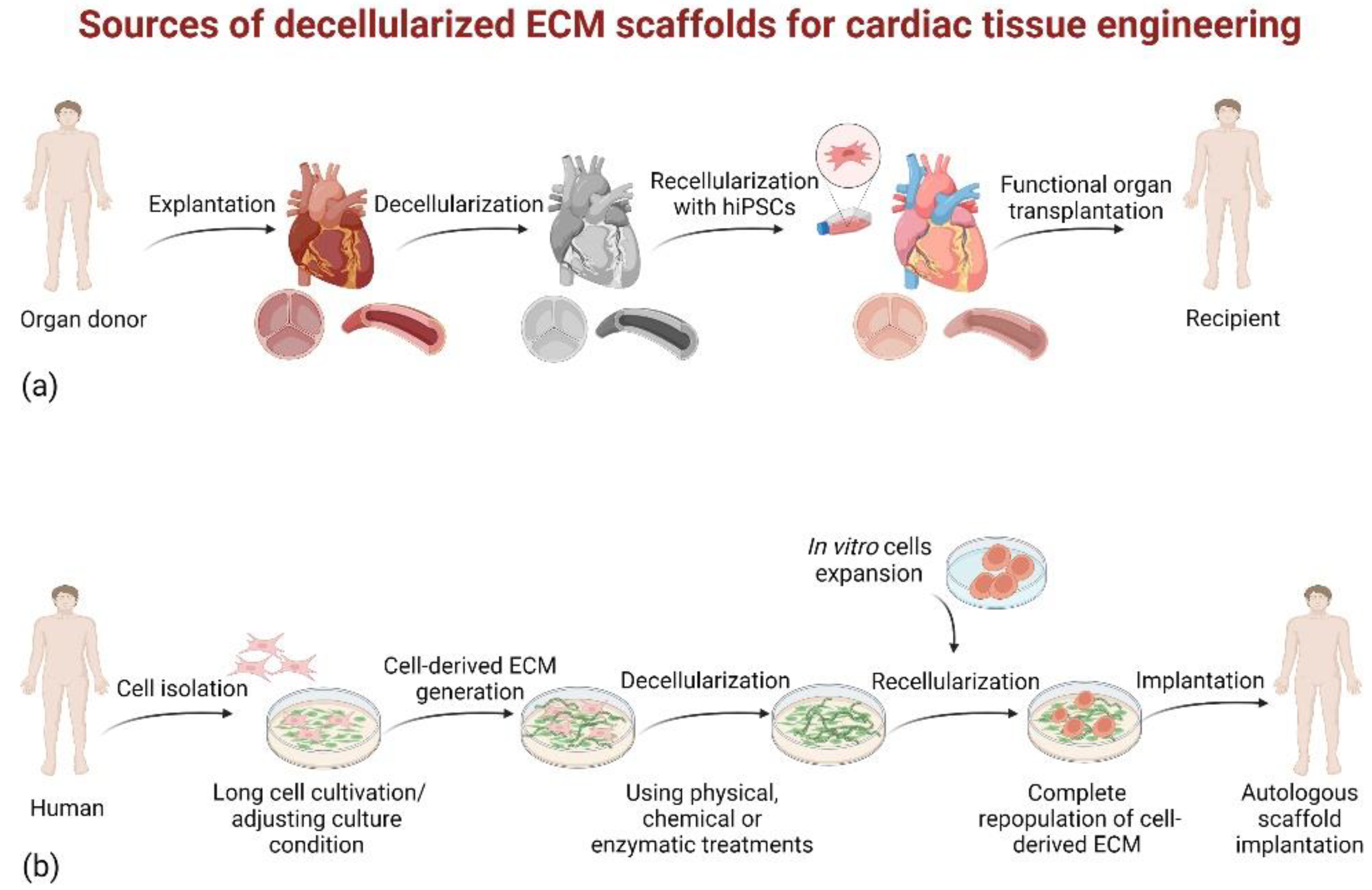 Ijms 23 13040 g002 Ijms 23 13040 g002