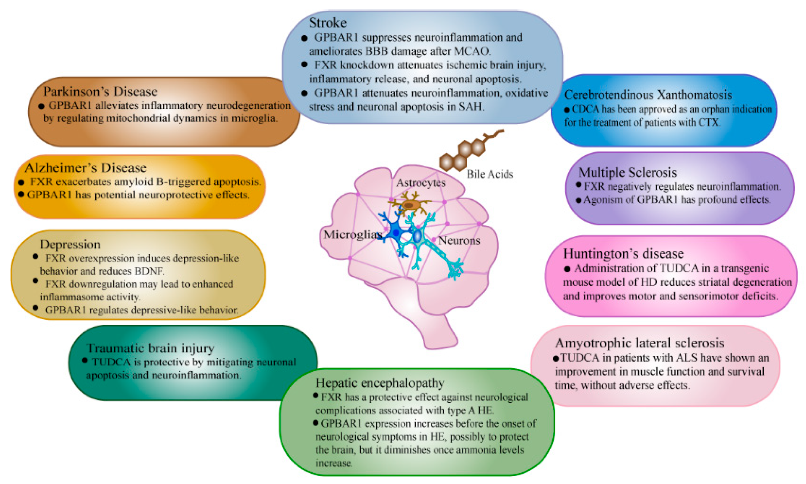 Ijms 23 13045 g002 Ijms 23 13045 g002
