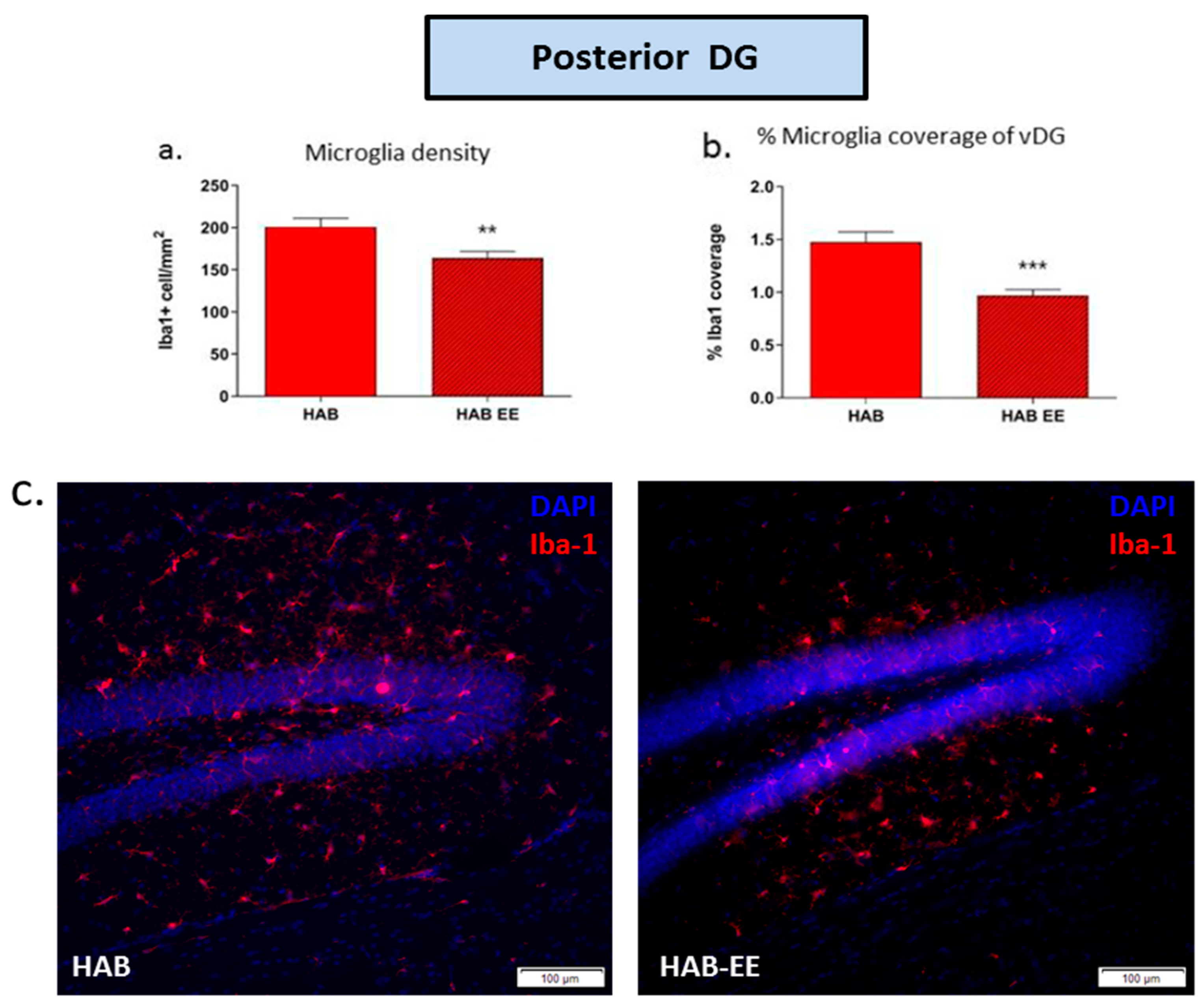 Ijms 23 13052 g003 Ijms 23 13052 g003