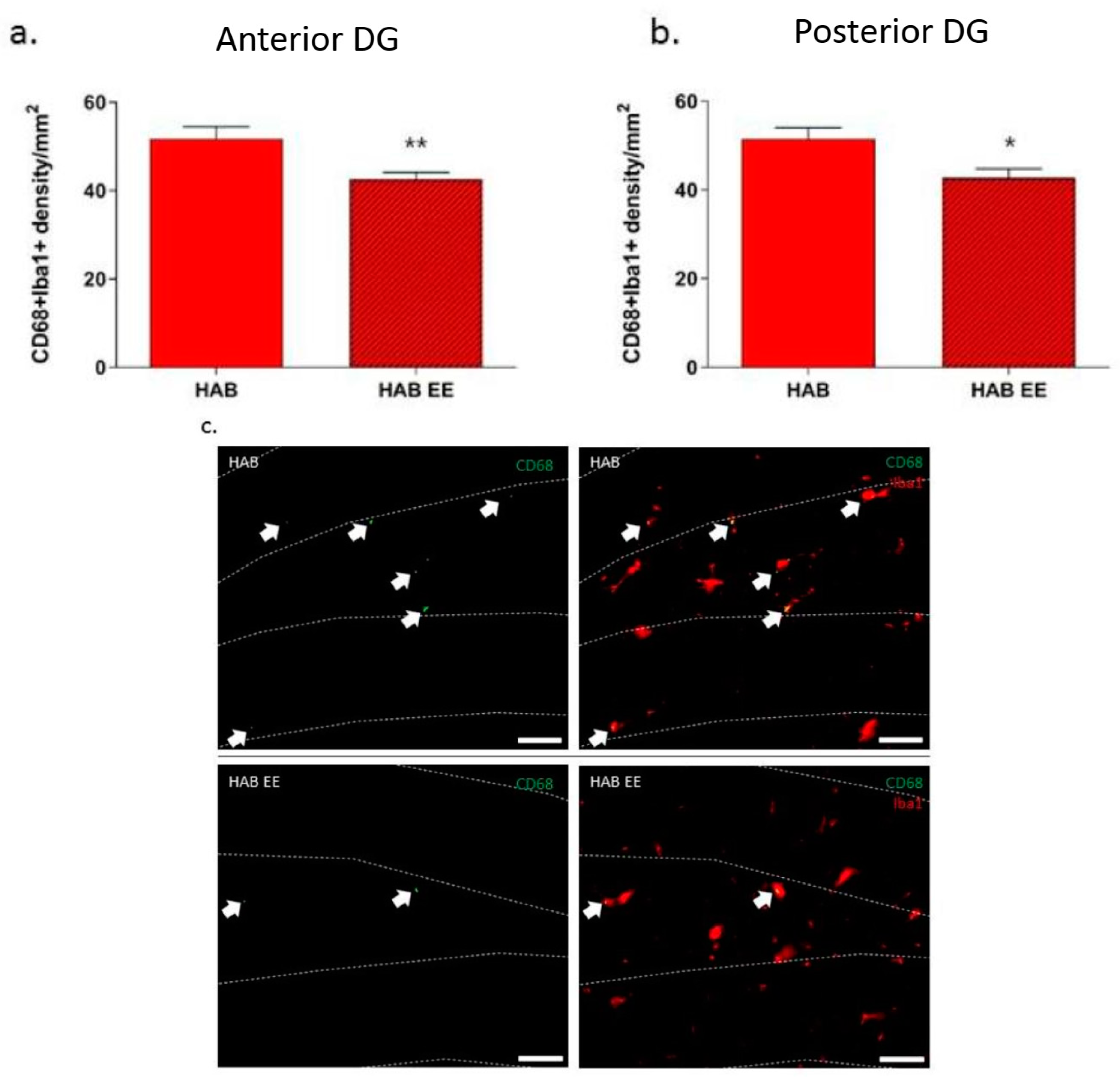 Ijms 23 13052 g004 Ijms 23 13052 g004