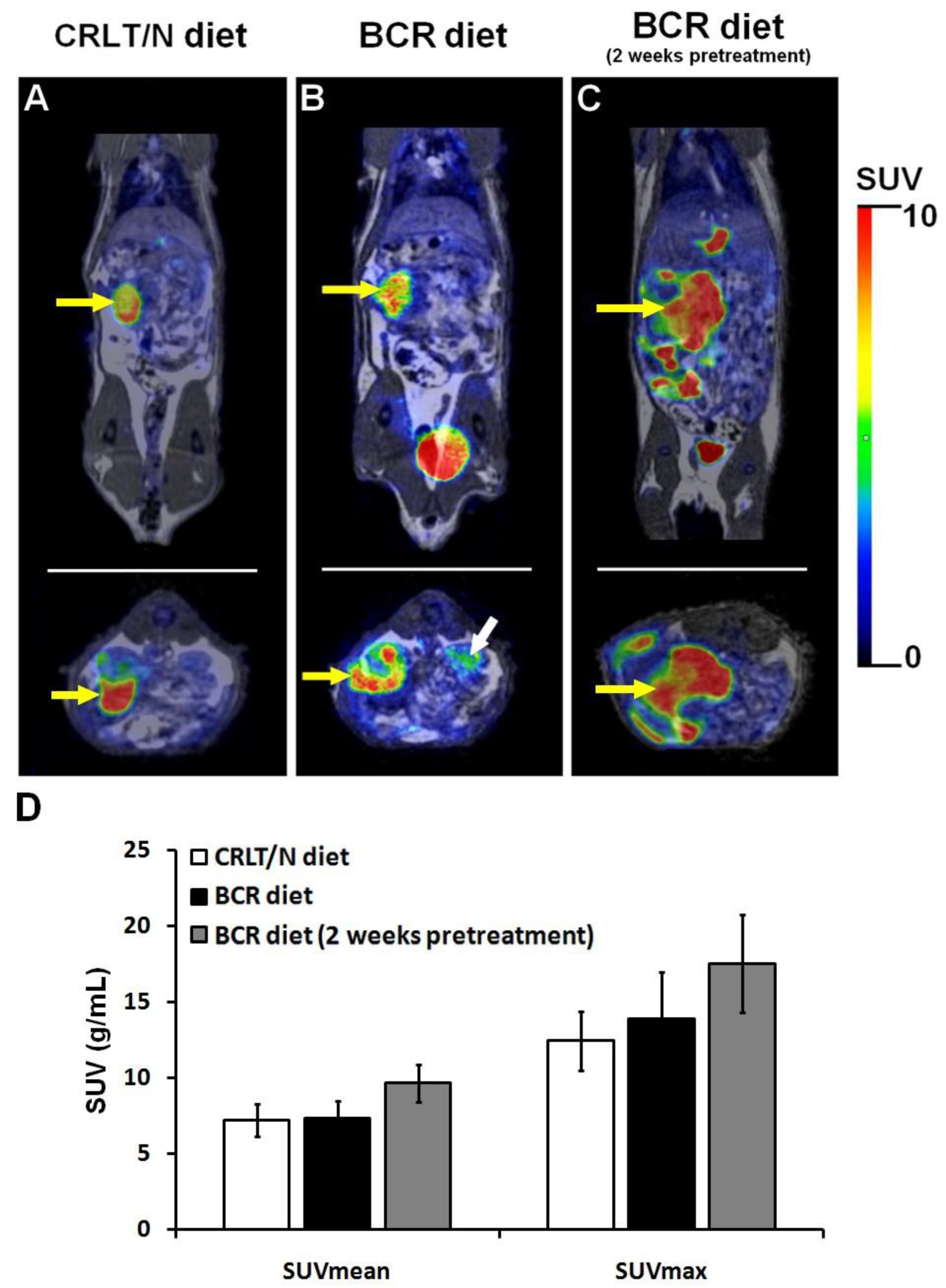 Ijms 23 13060 g005 Ijms 23 13060 g005